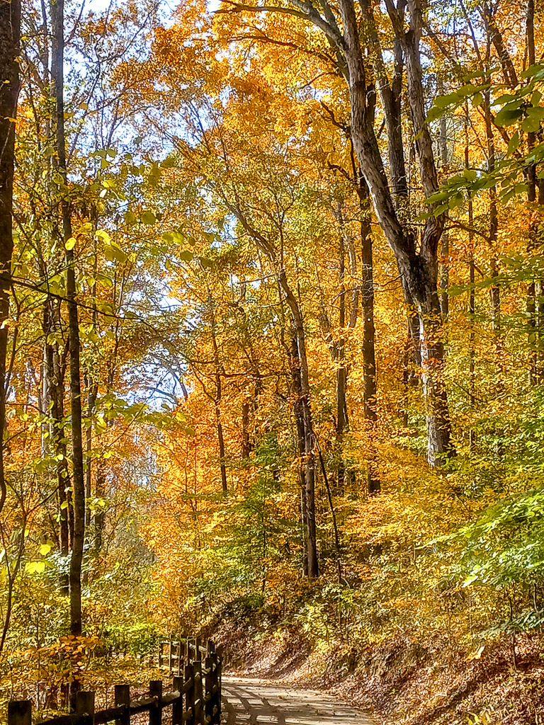 Autumn in Georgia