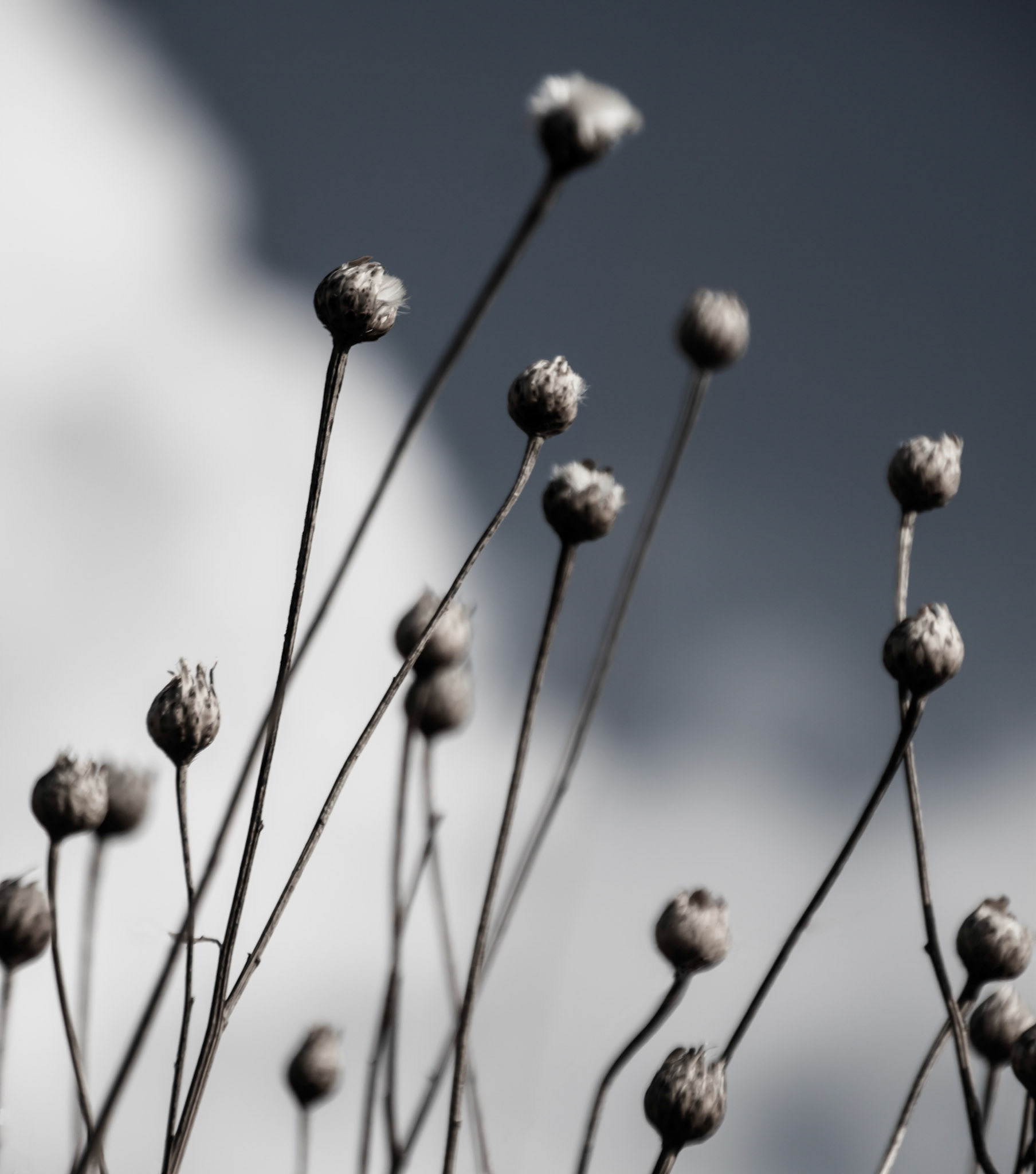 Pods 1