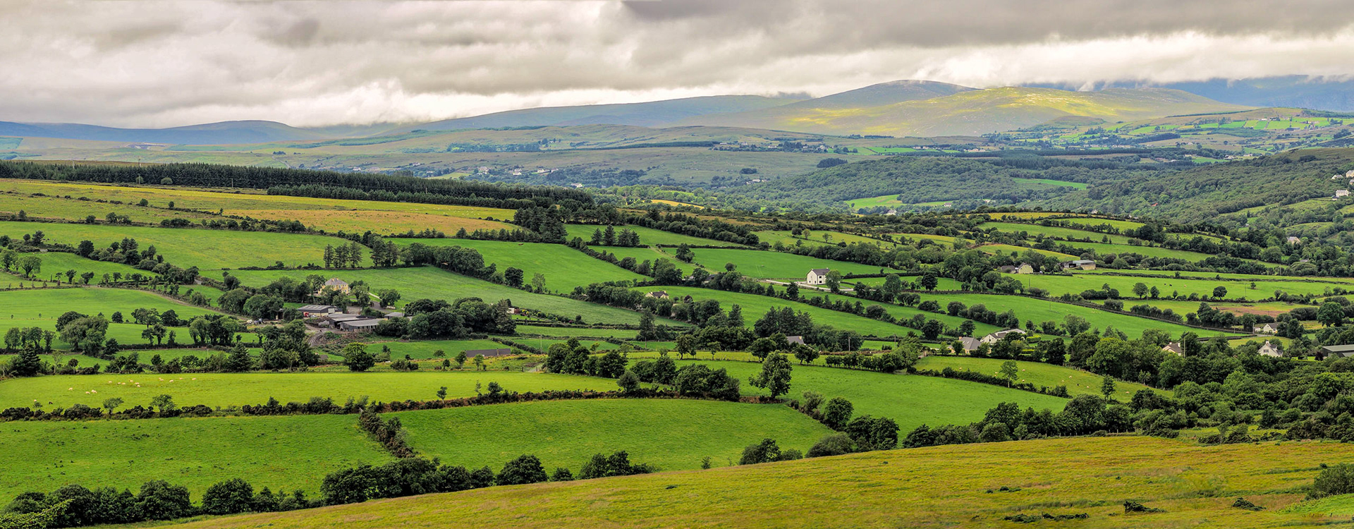 Irish Countryside Panorama