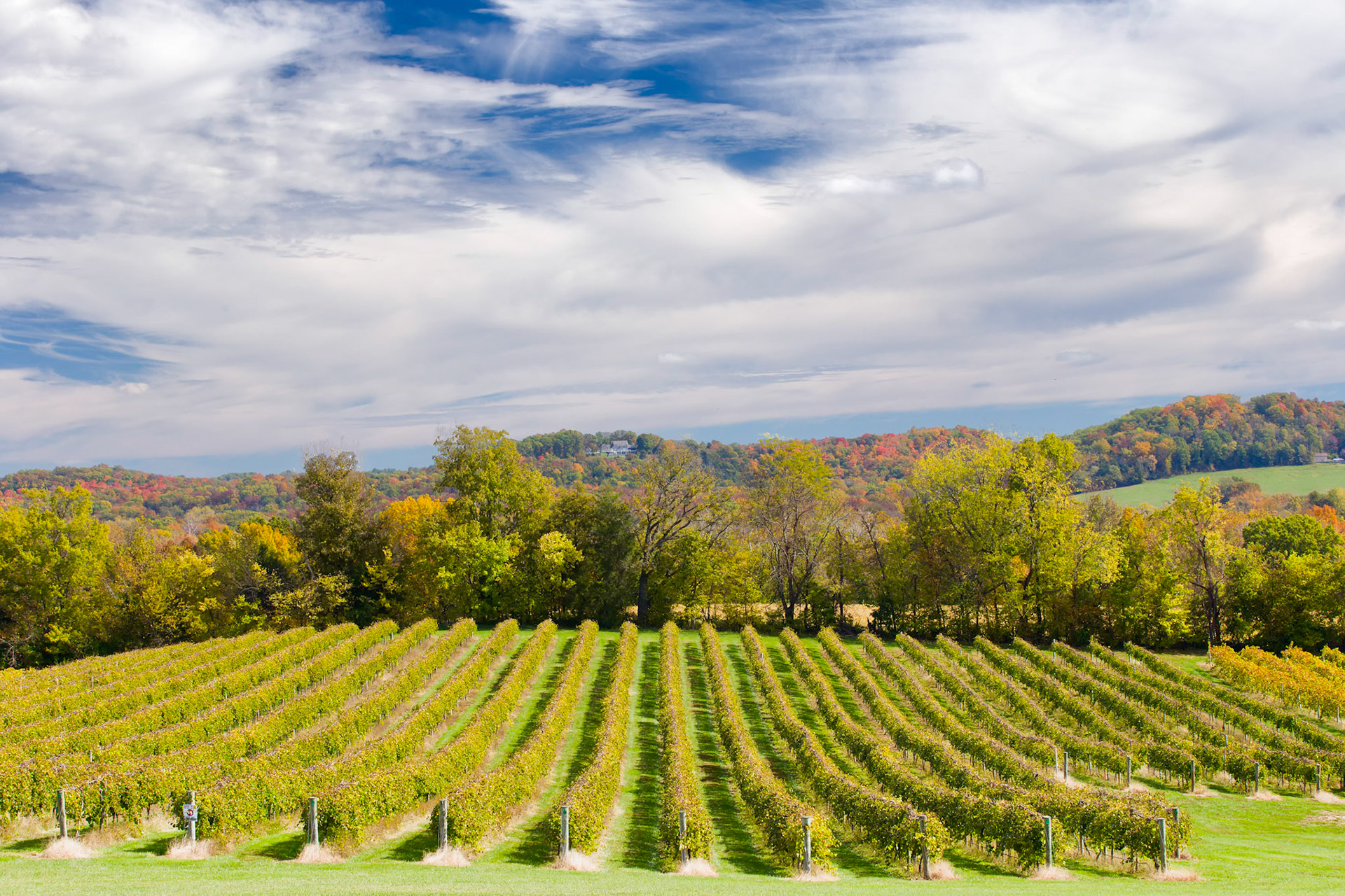Autumn at the WInery 2