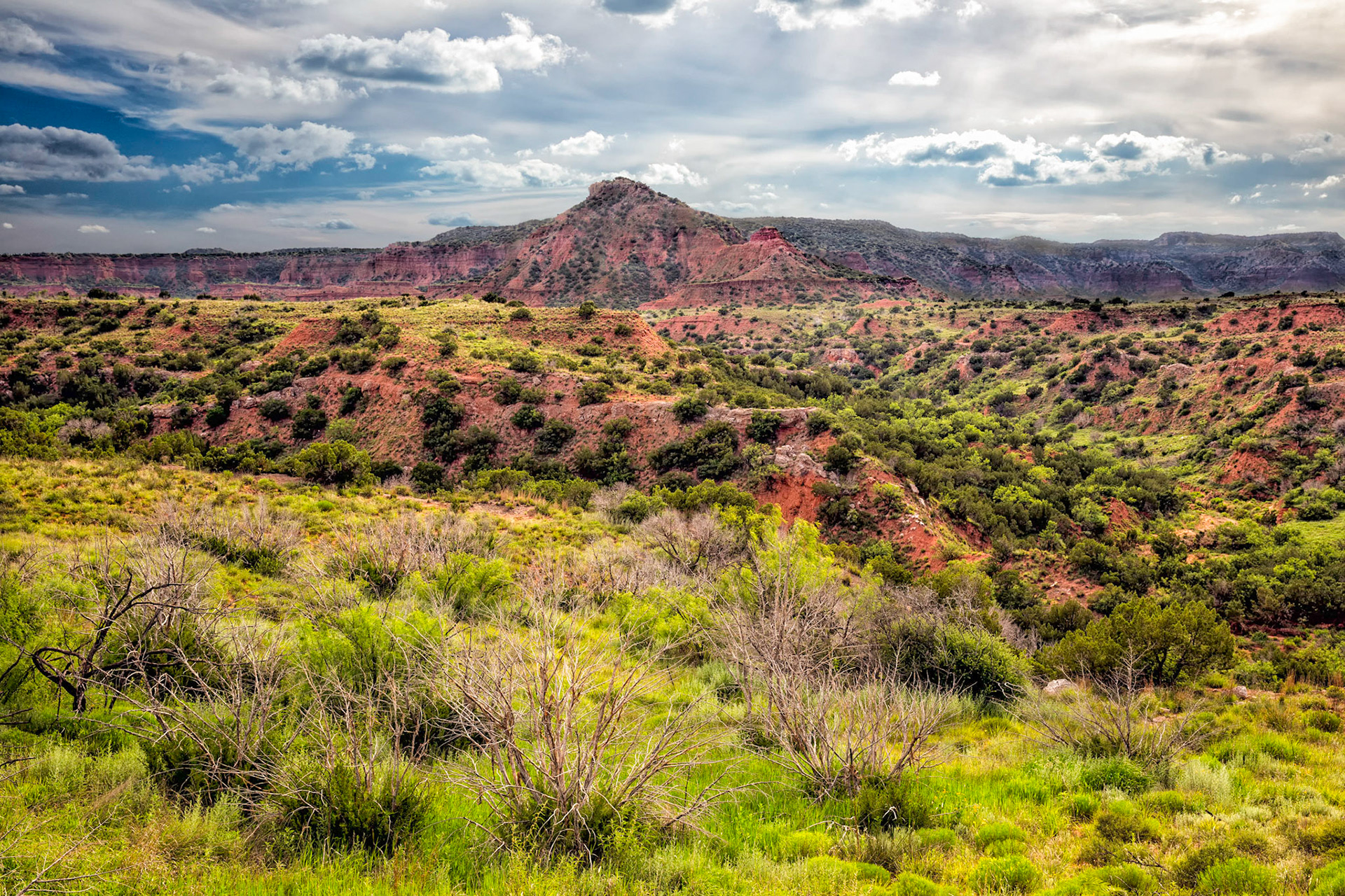 Canyon Vista