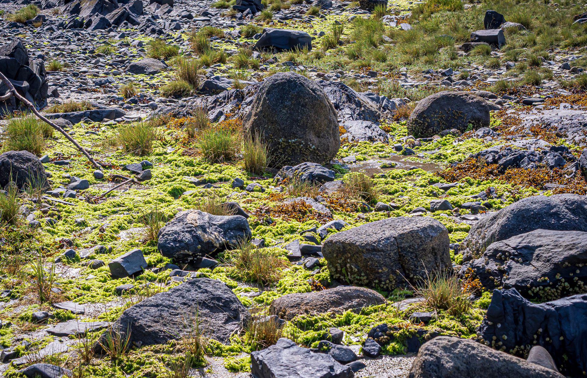 Petroglyph Topography