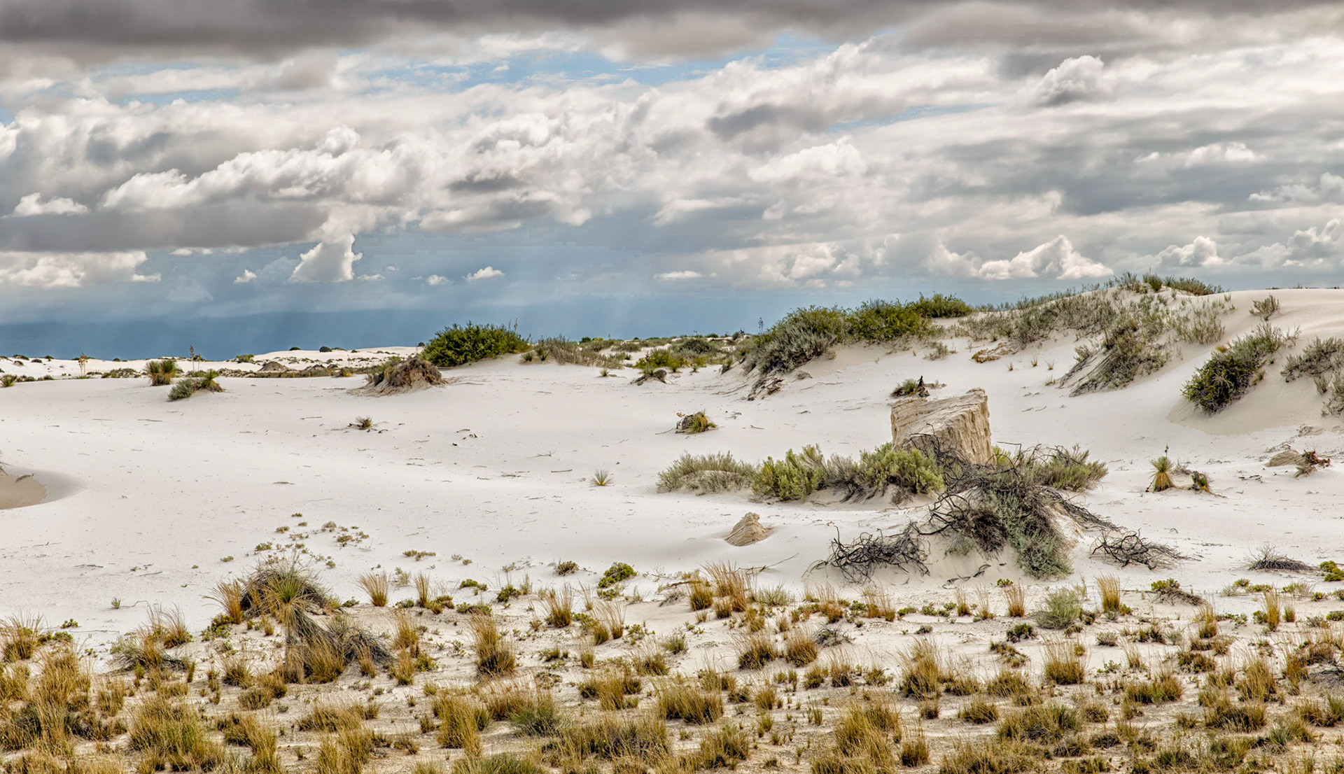 White Sands Morning