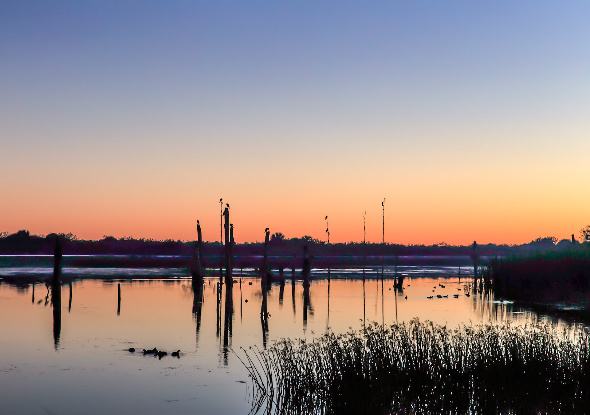 Wetland Sunset 2