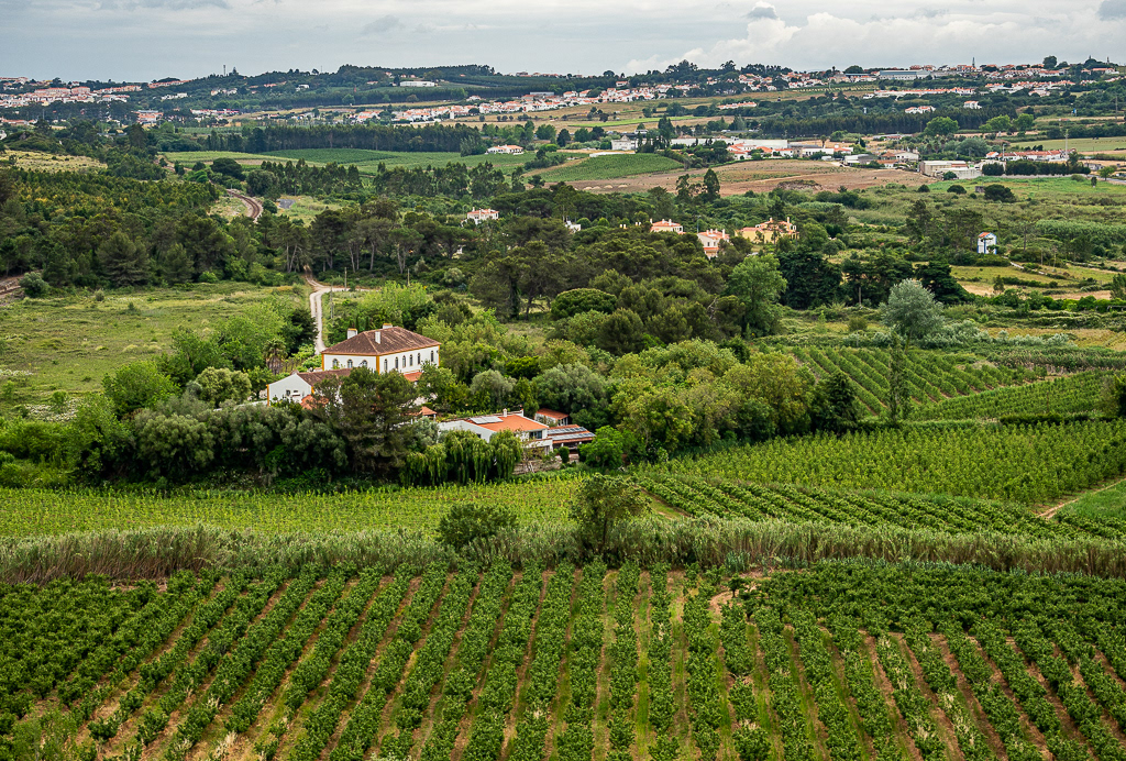Portuguese Landscape