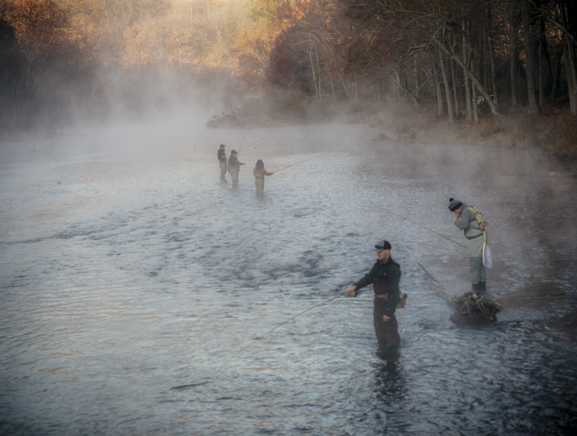Misty Morning Angling