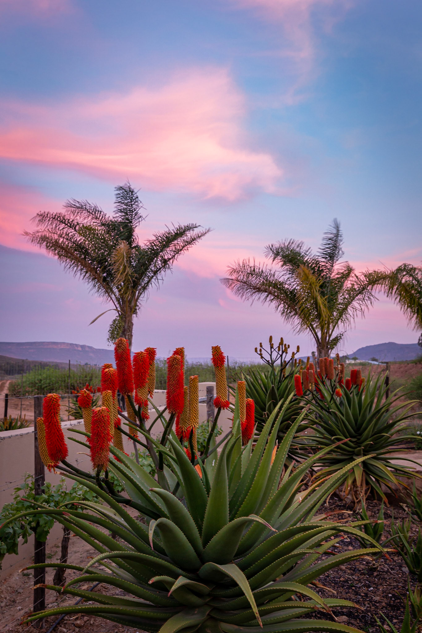 Sunset Clan William Campground