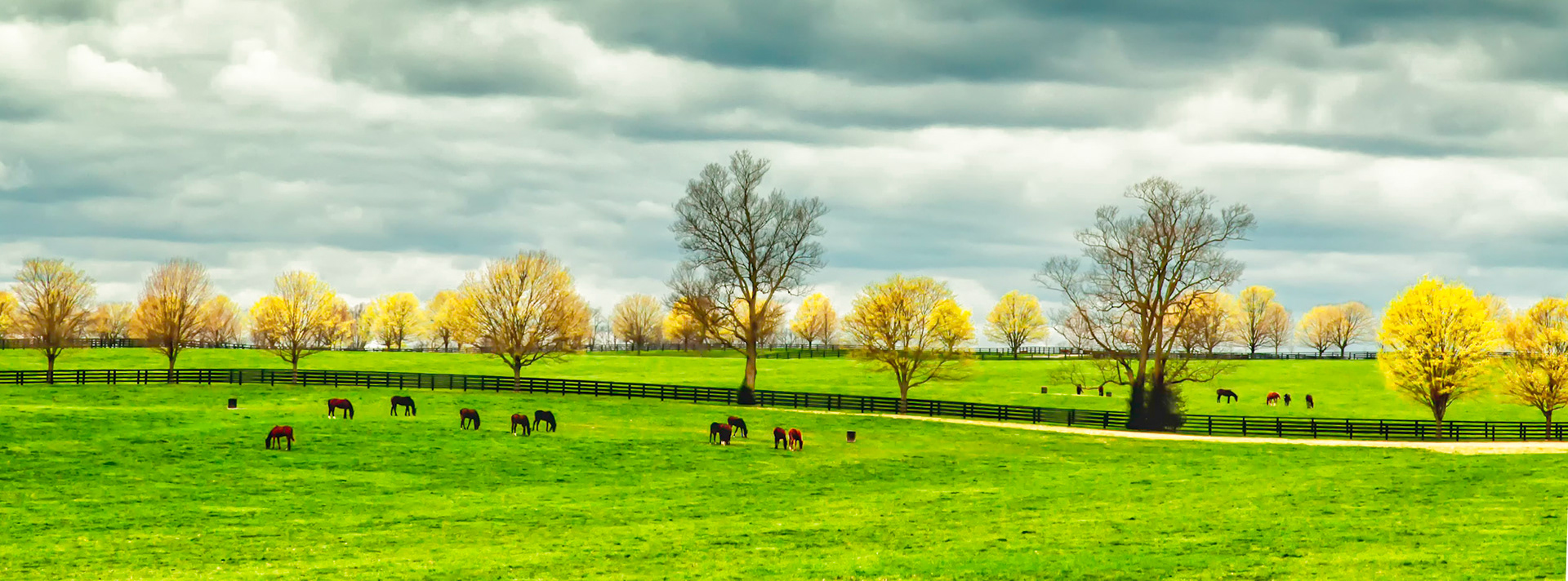 Kentucky Afternoon