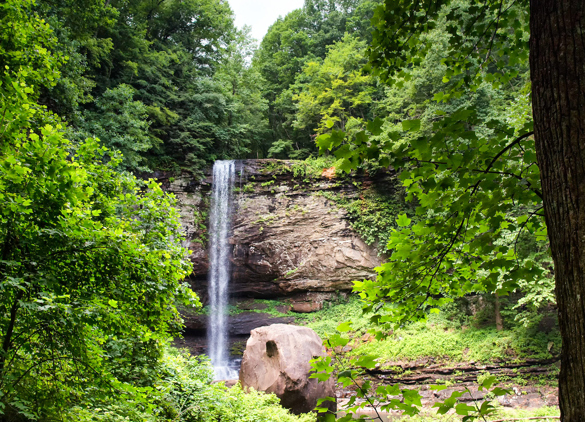 Cloudland Canyon Cool
