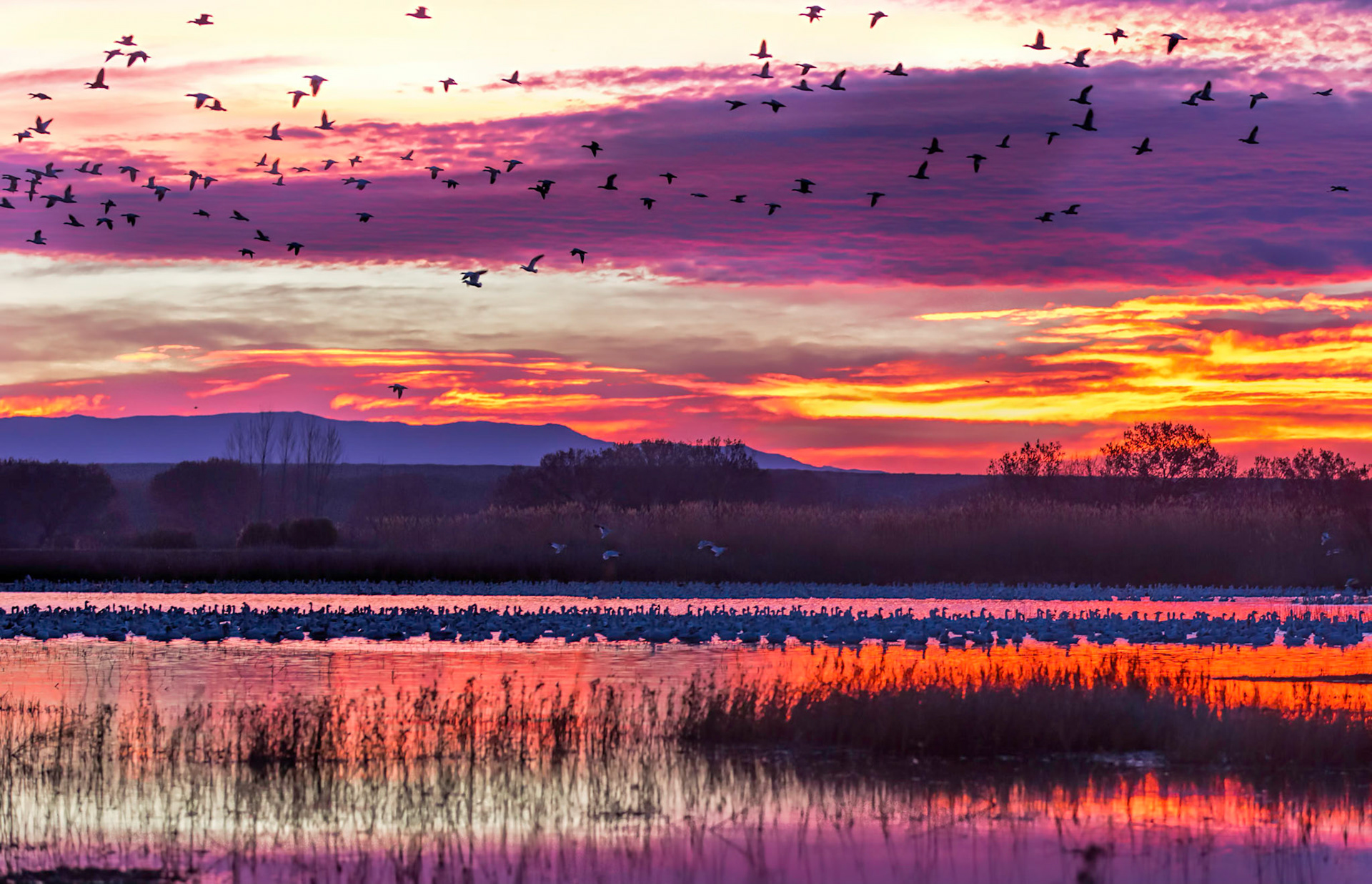 Sunrise Gathering