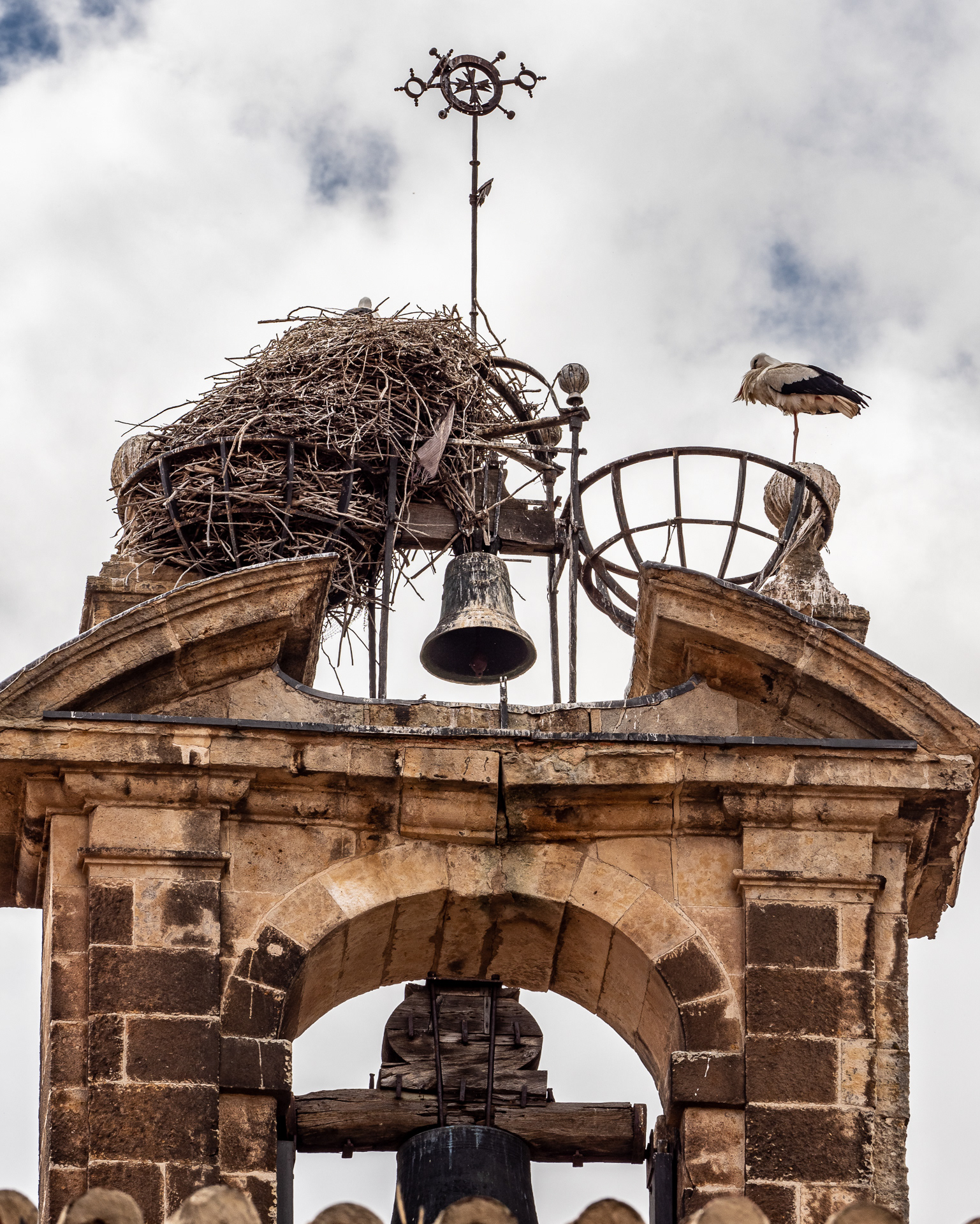 Bell Tower, Bird, Nest