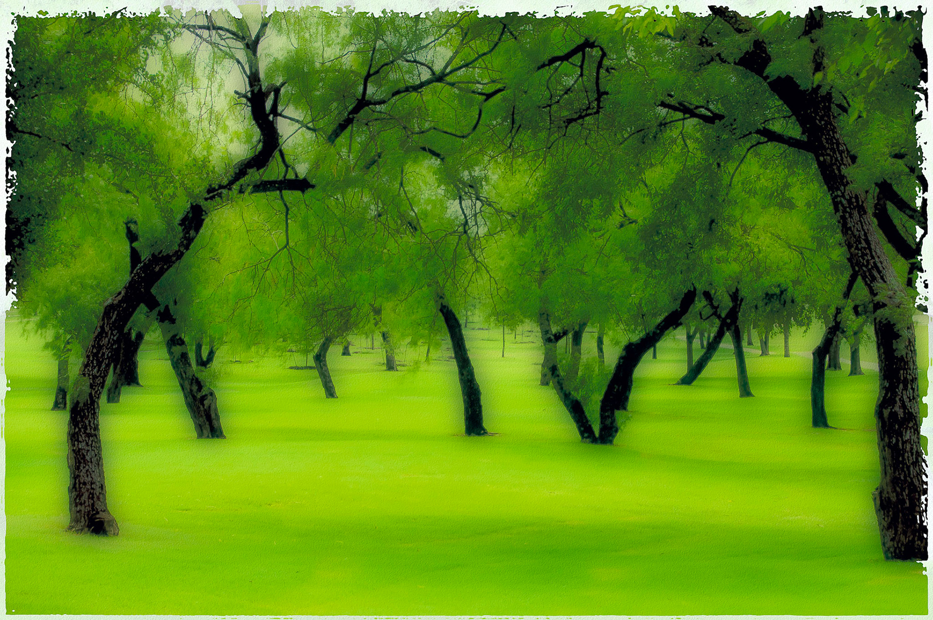 Being Green