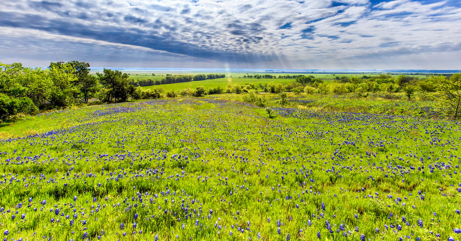 Big Texas Sky