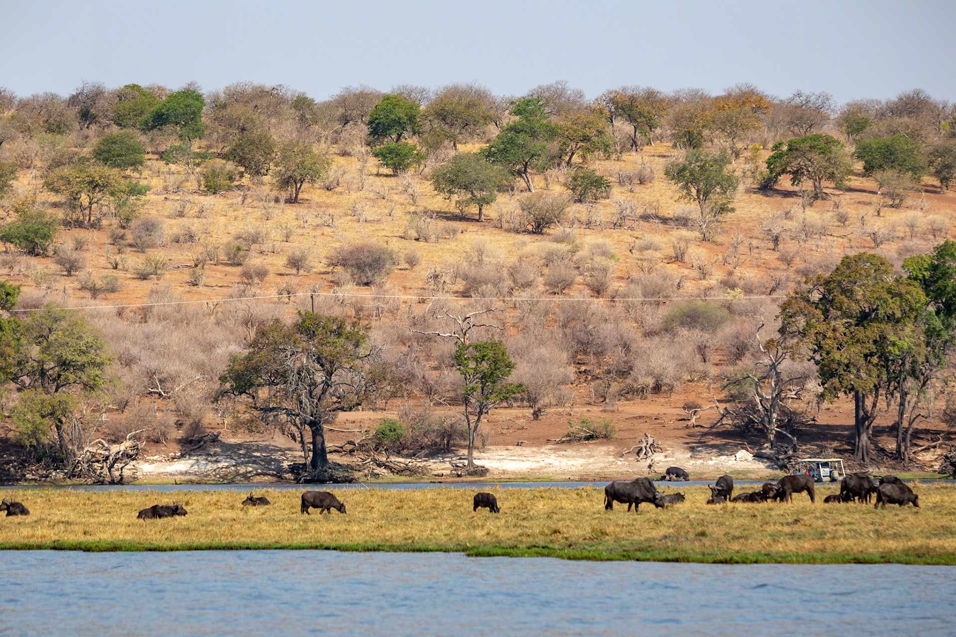 Peaceful Chobe River Scene