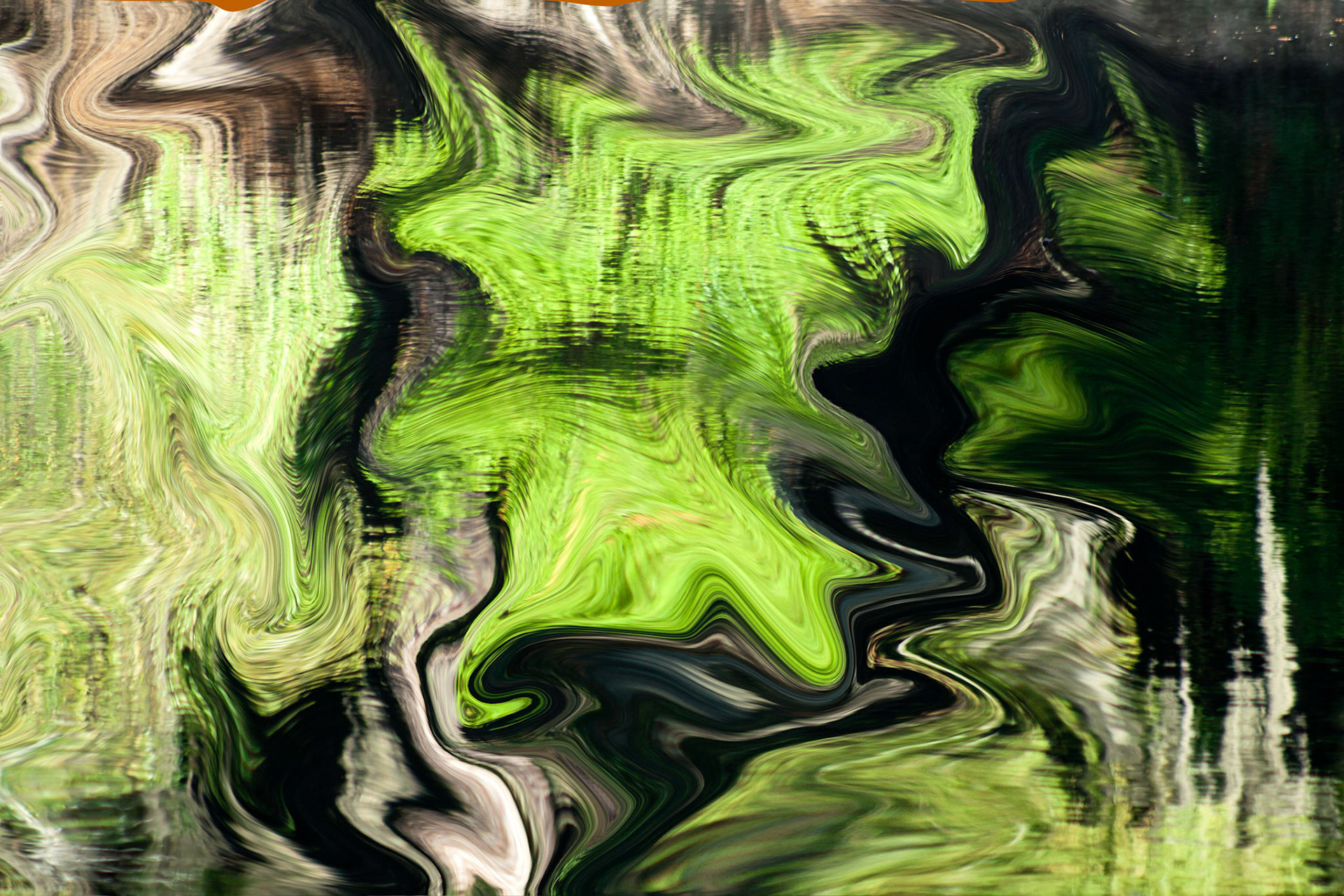 Green Gone Wild