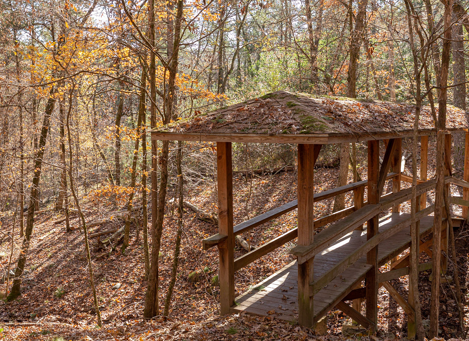 Itty Bitty Bridge