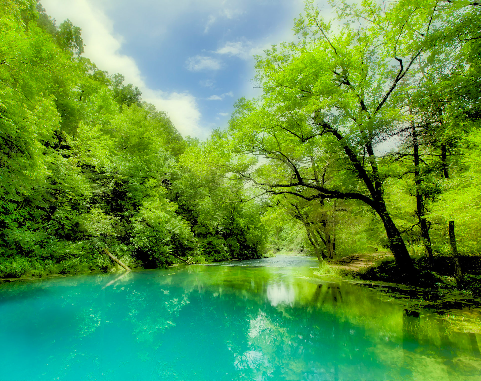 Summer Day at Blue Spring