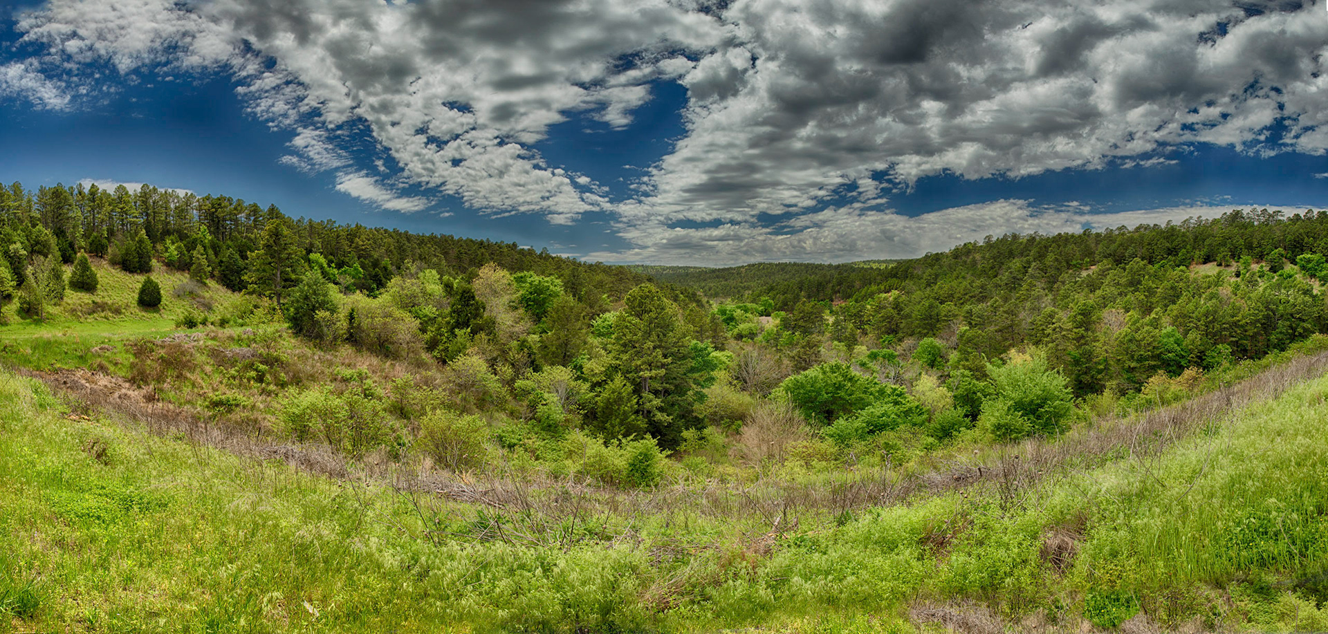 Robbers Cave Park Pano
