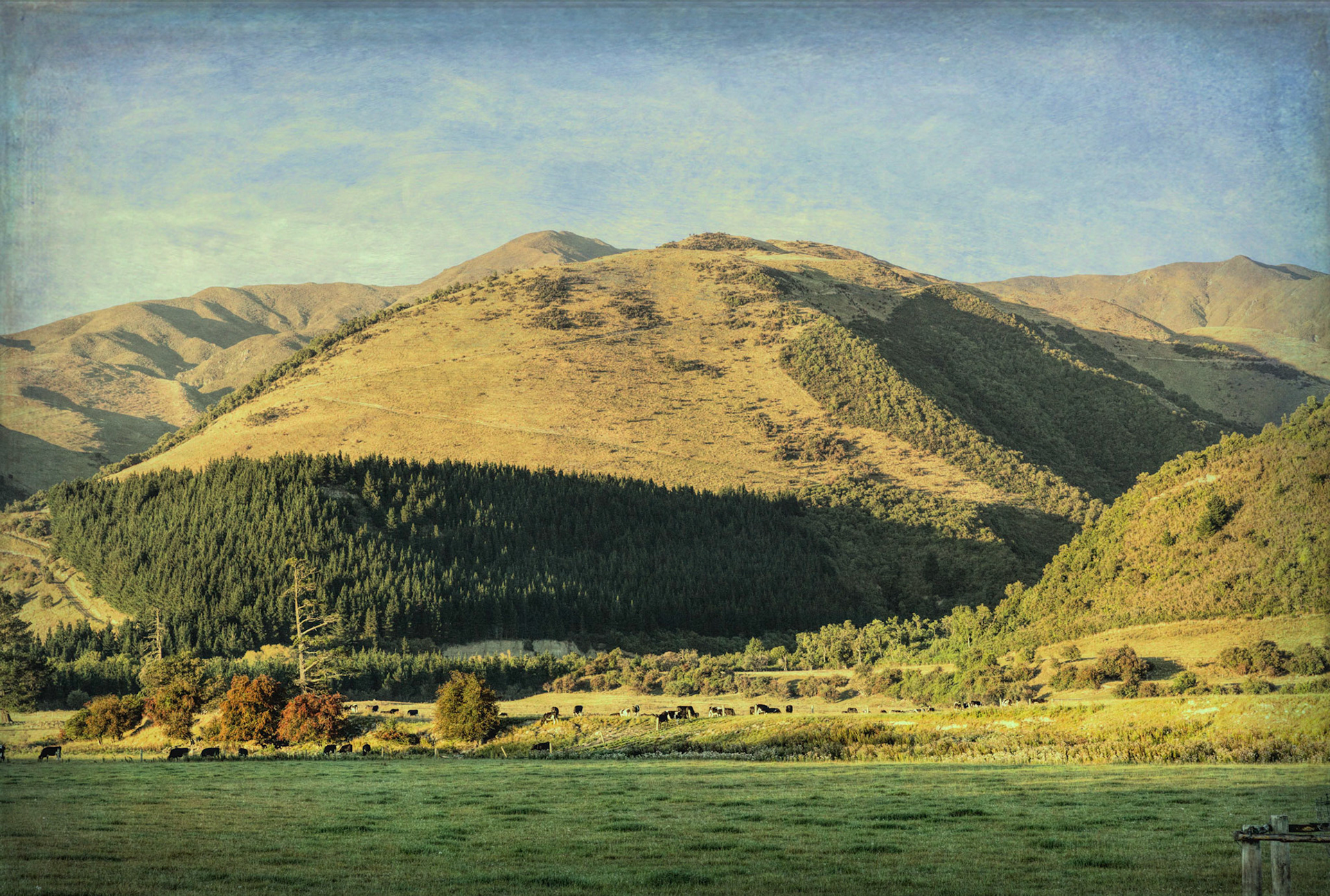 Rangatita Roadside View