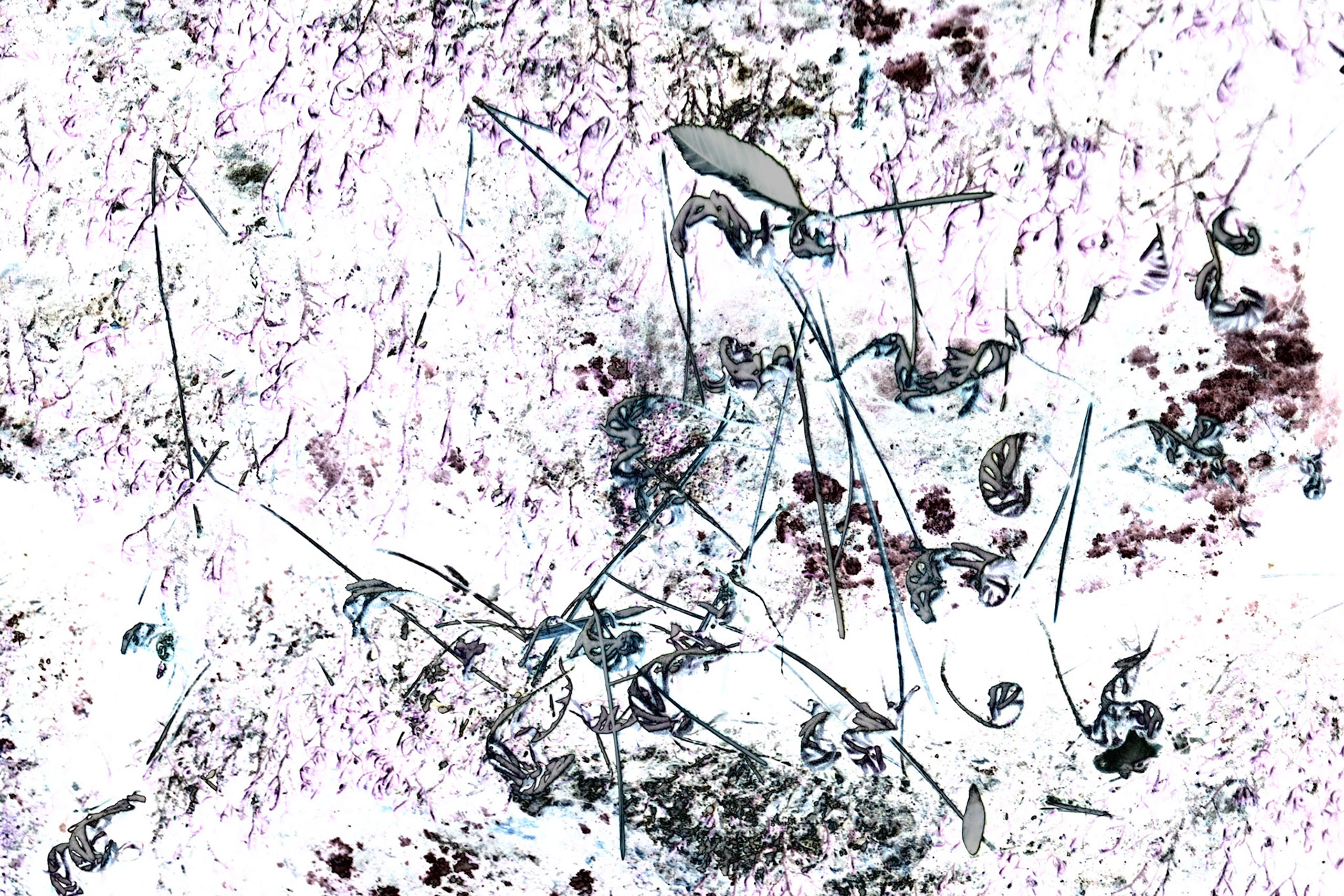 Solar Abstract 1
