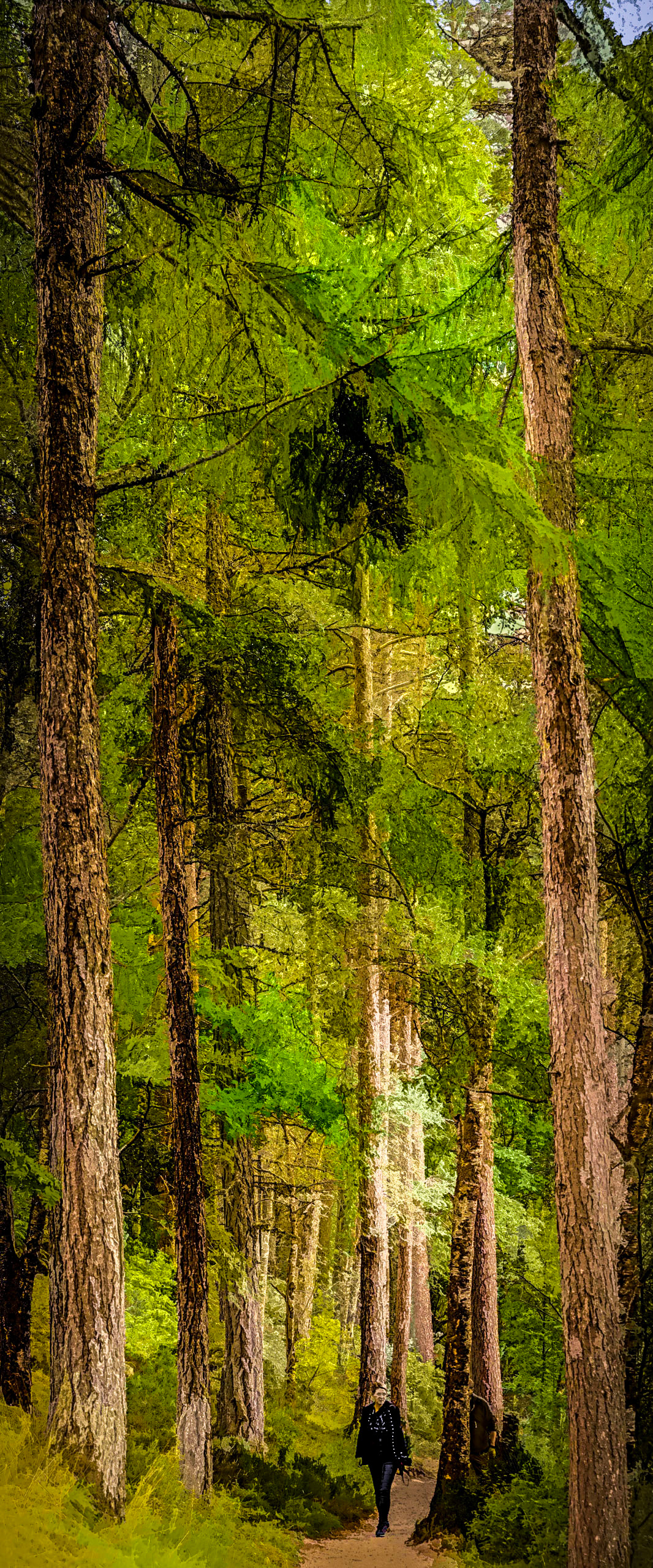 Things Are Looking Up