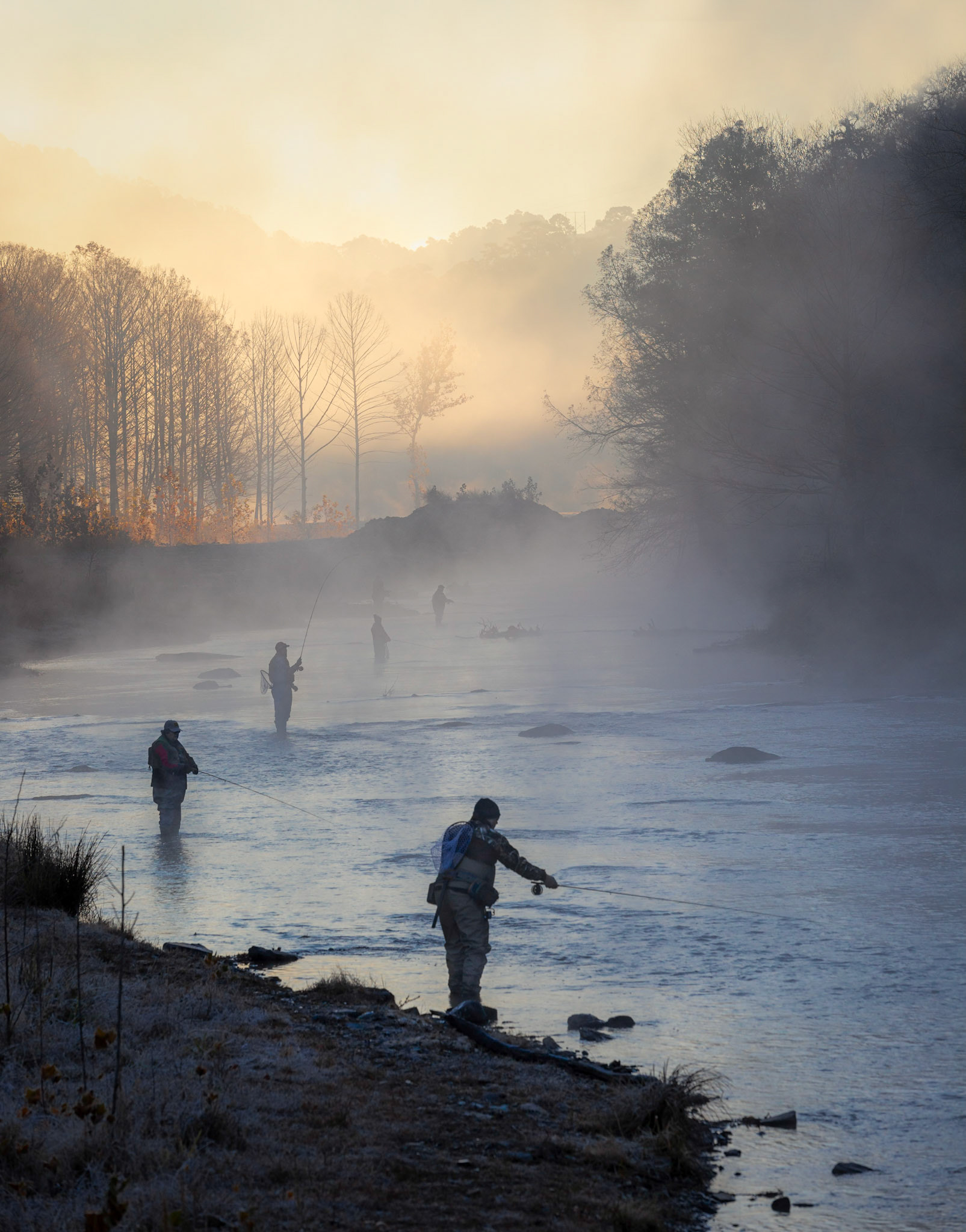 Fishing Line