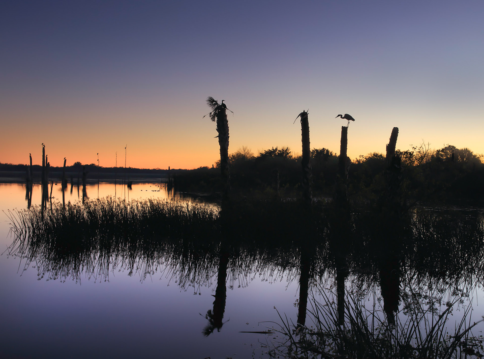 Wetland Sunset 1