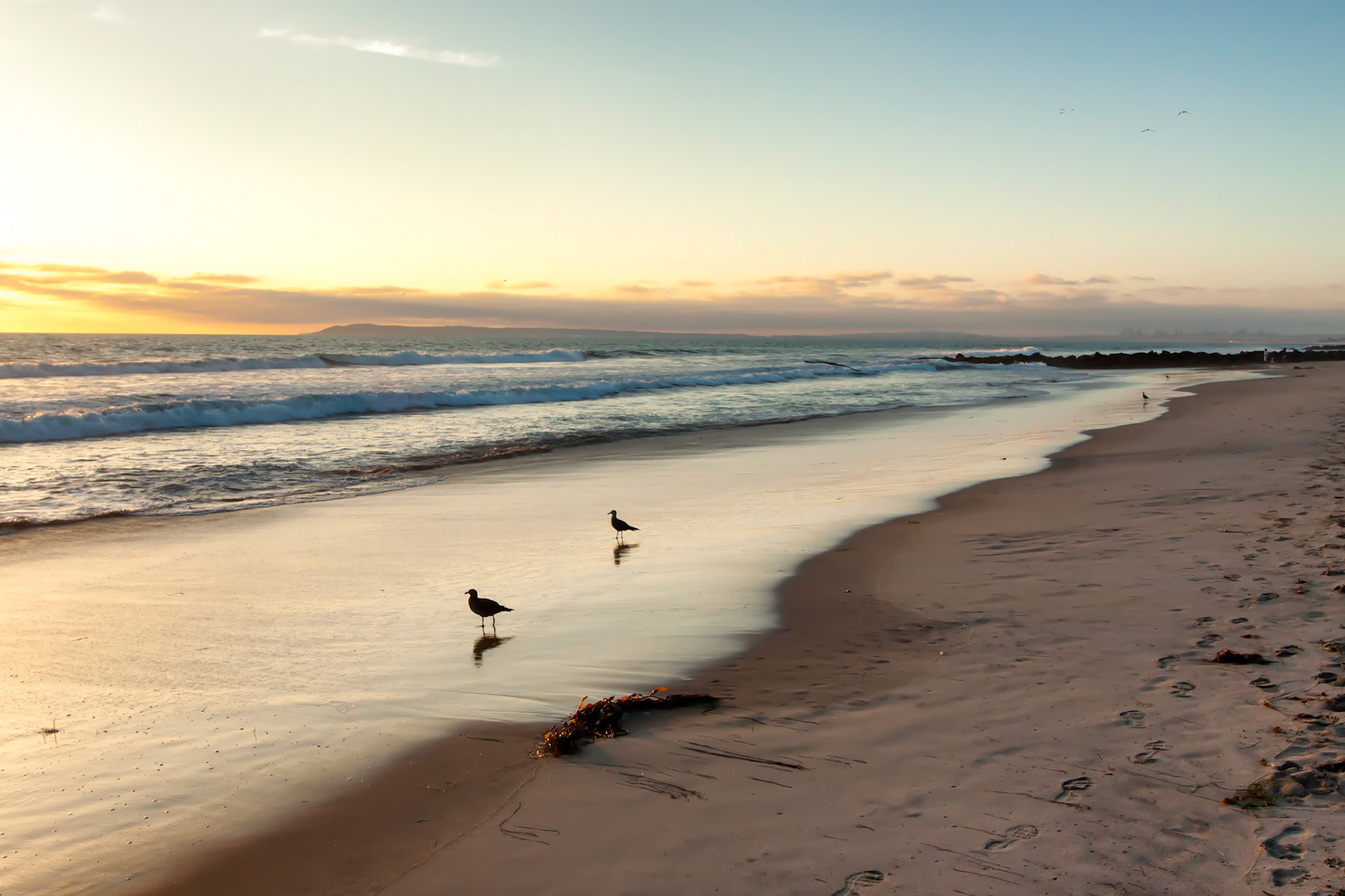 San Diego Beach 1