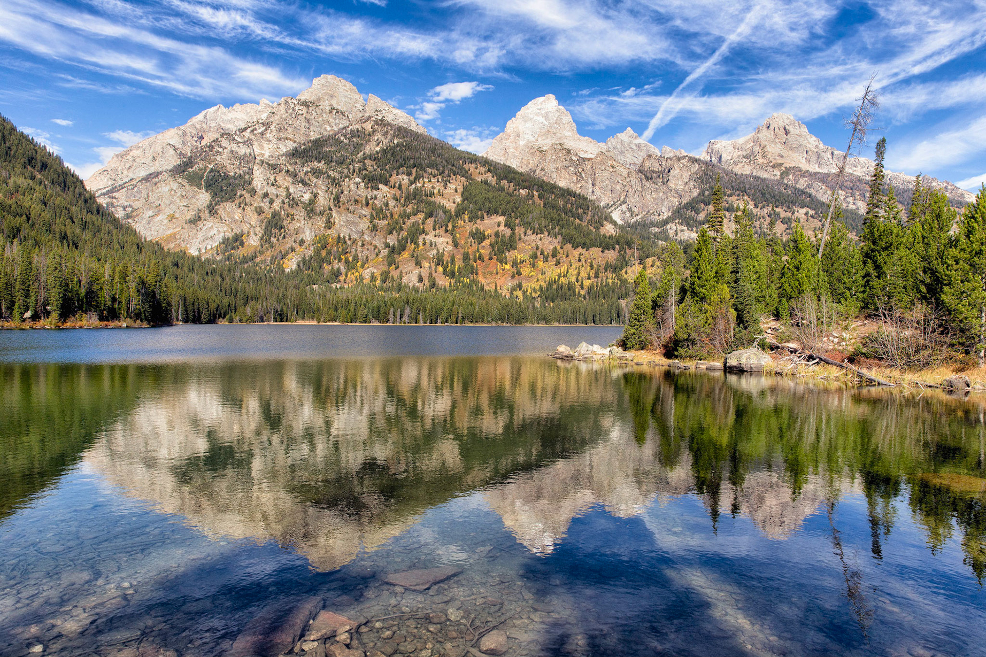 Teton Reflection