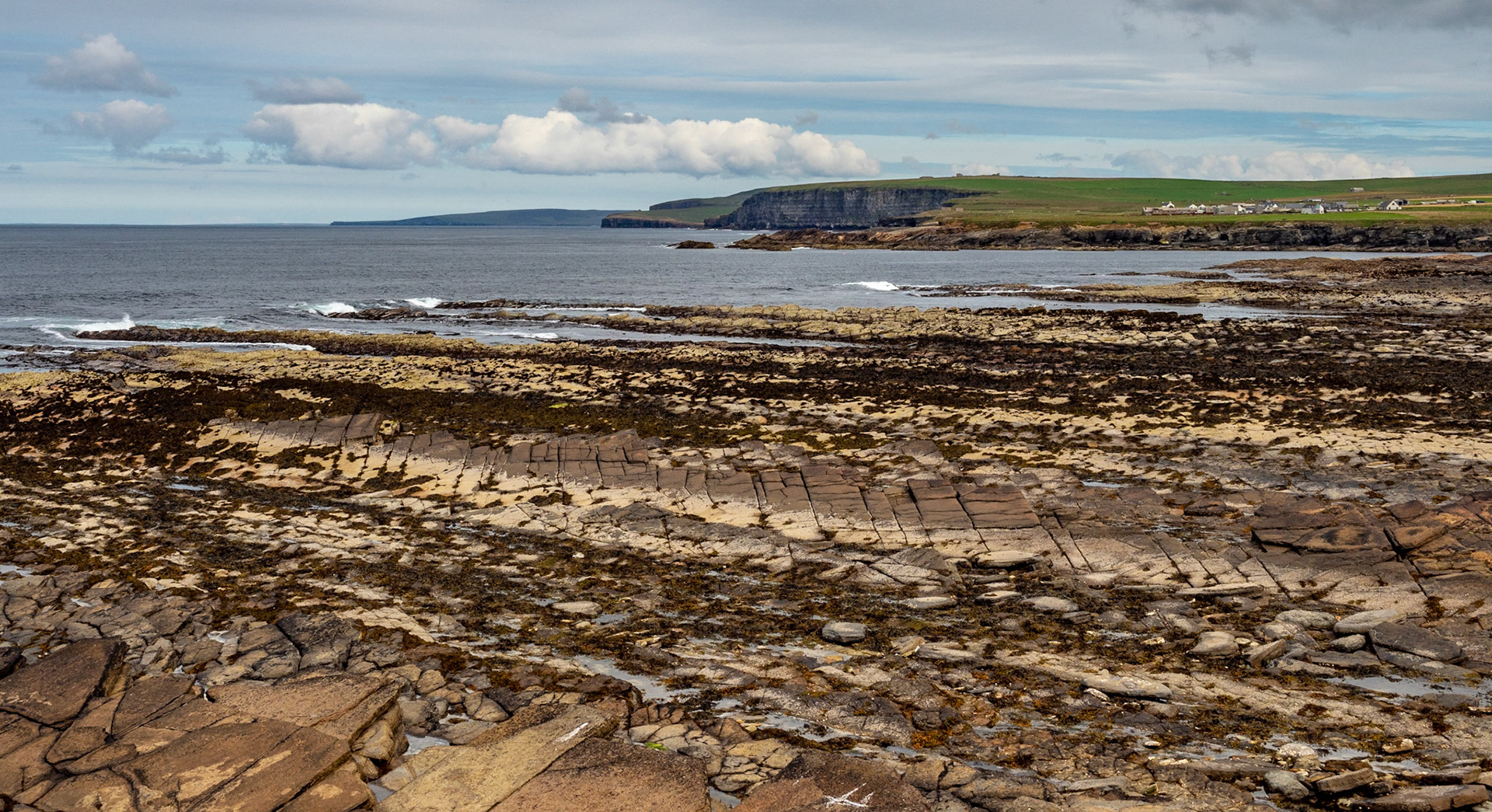 Fascinating Shoreline