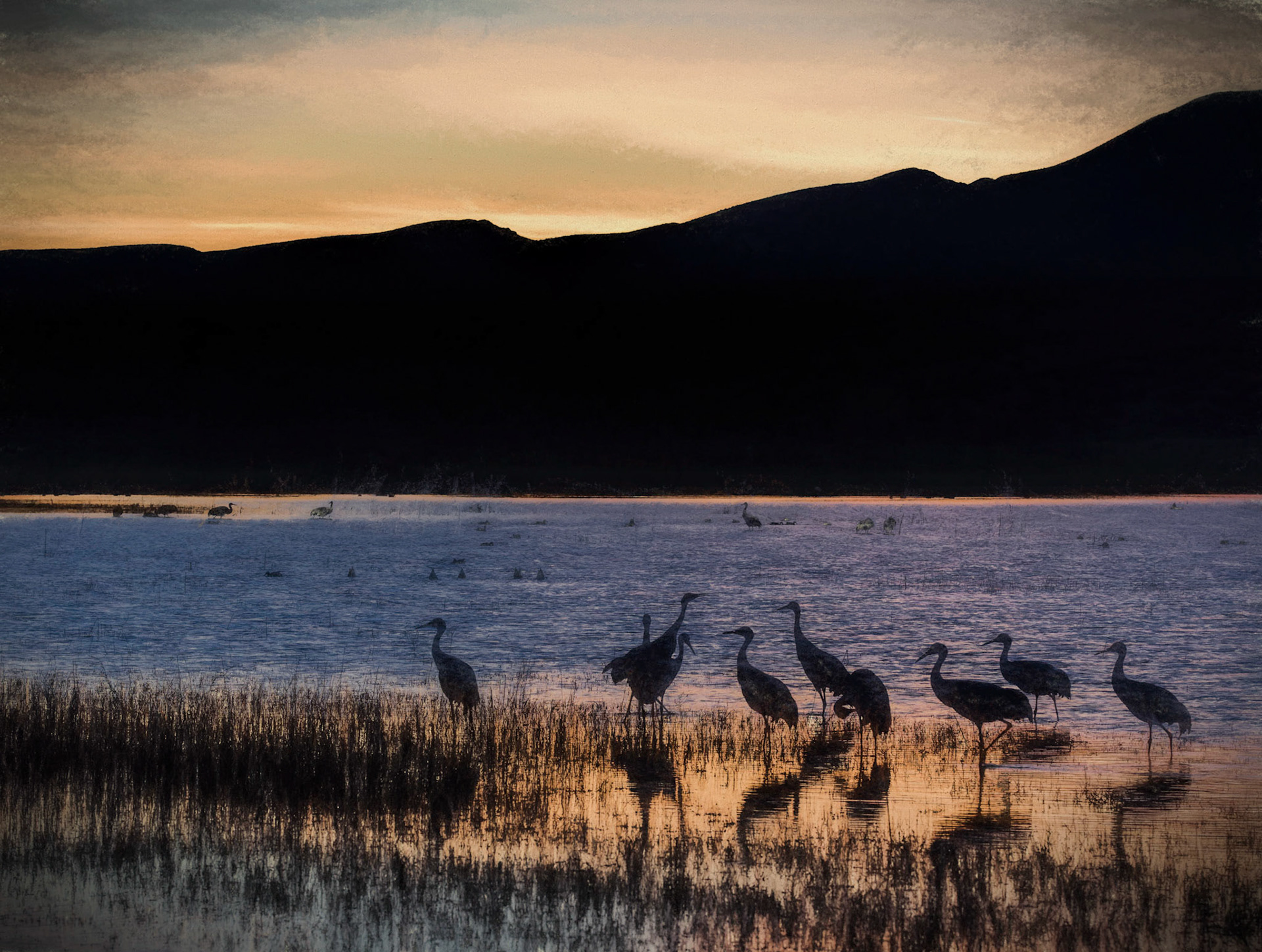 Bosque Sunset 2
