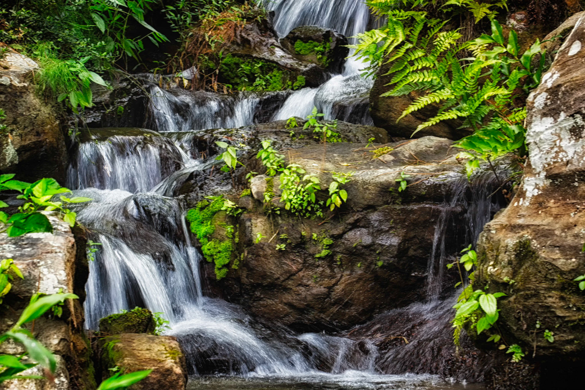 Rock, Water, Greenery