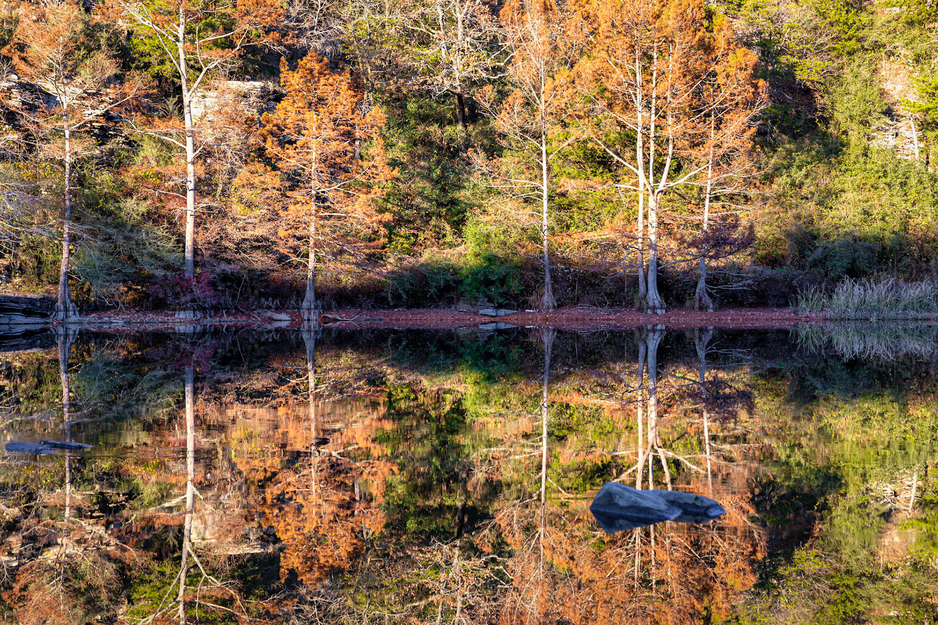 Still Waters