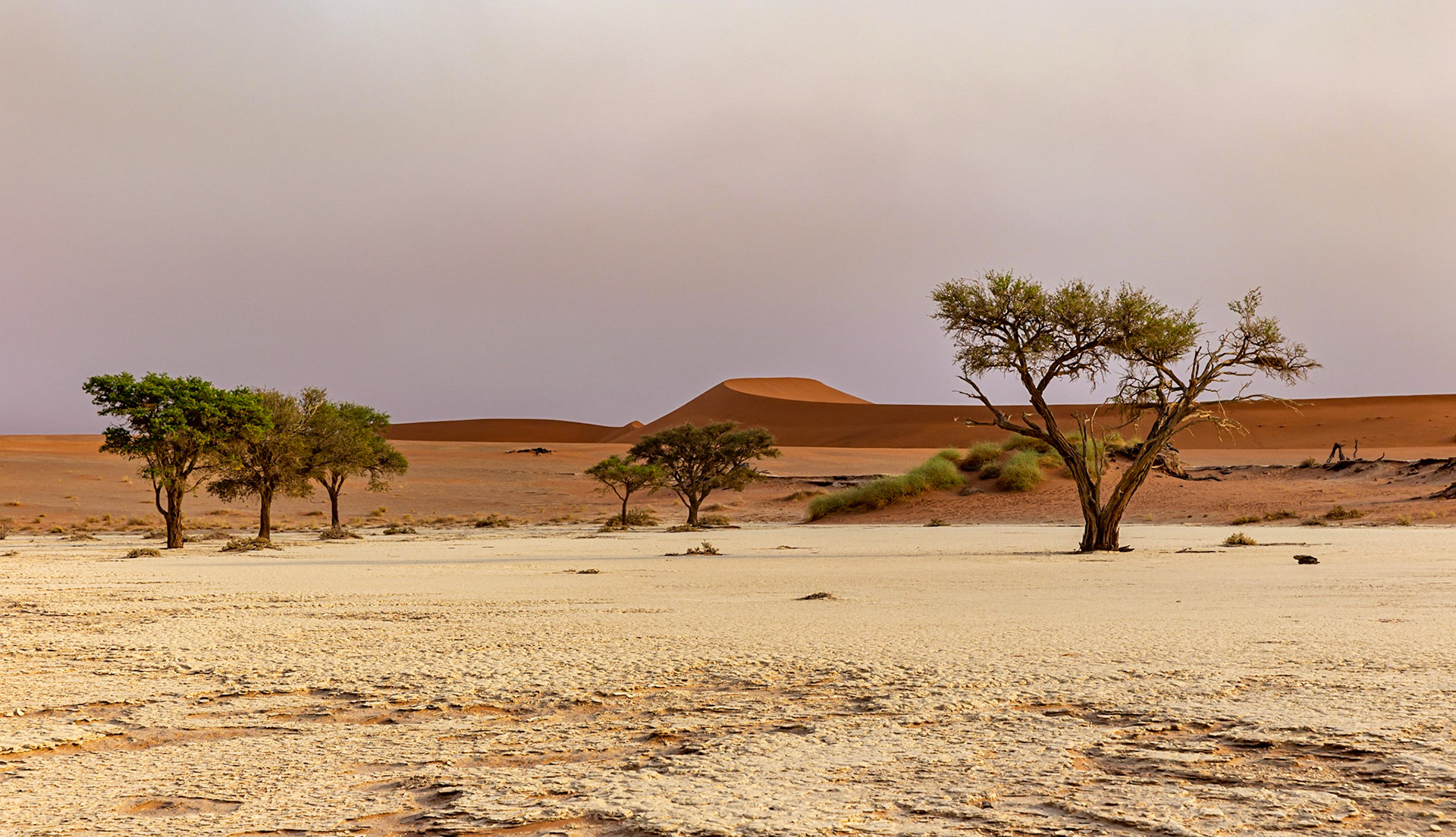 Namib Park