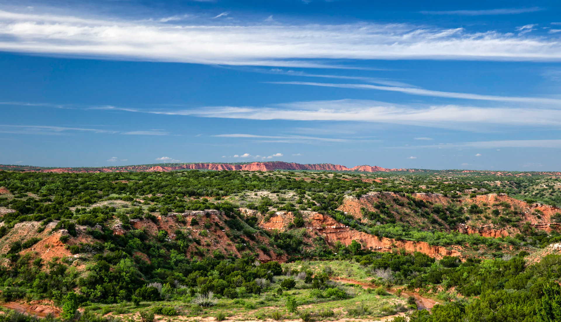 Caprock Canyon View 3