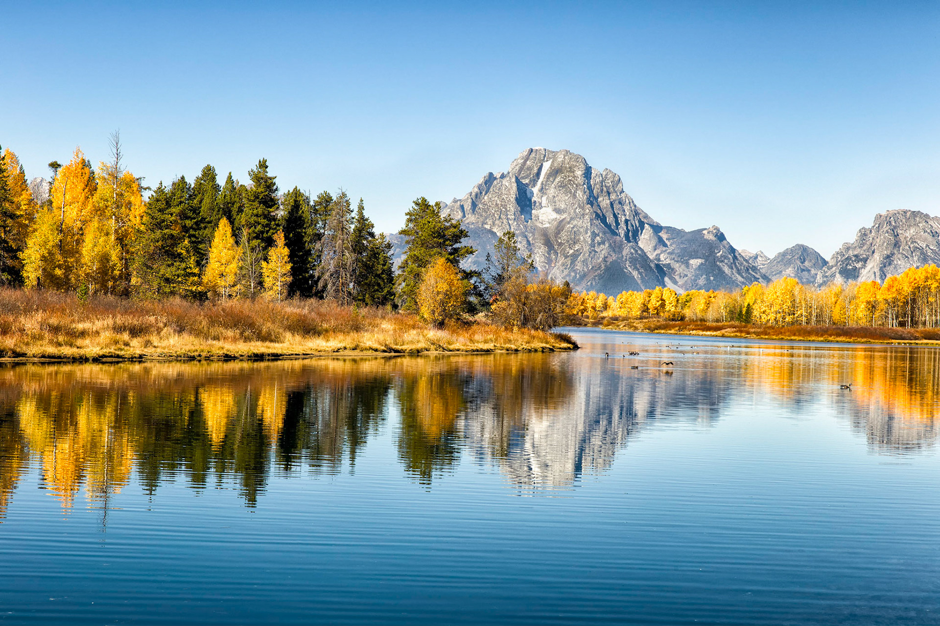 Lakeside Splendor