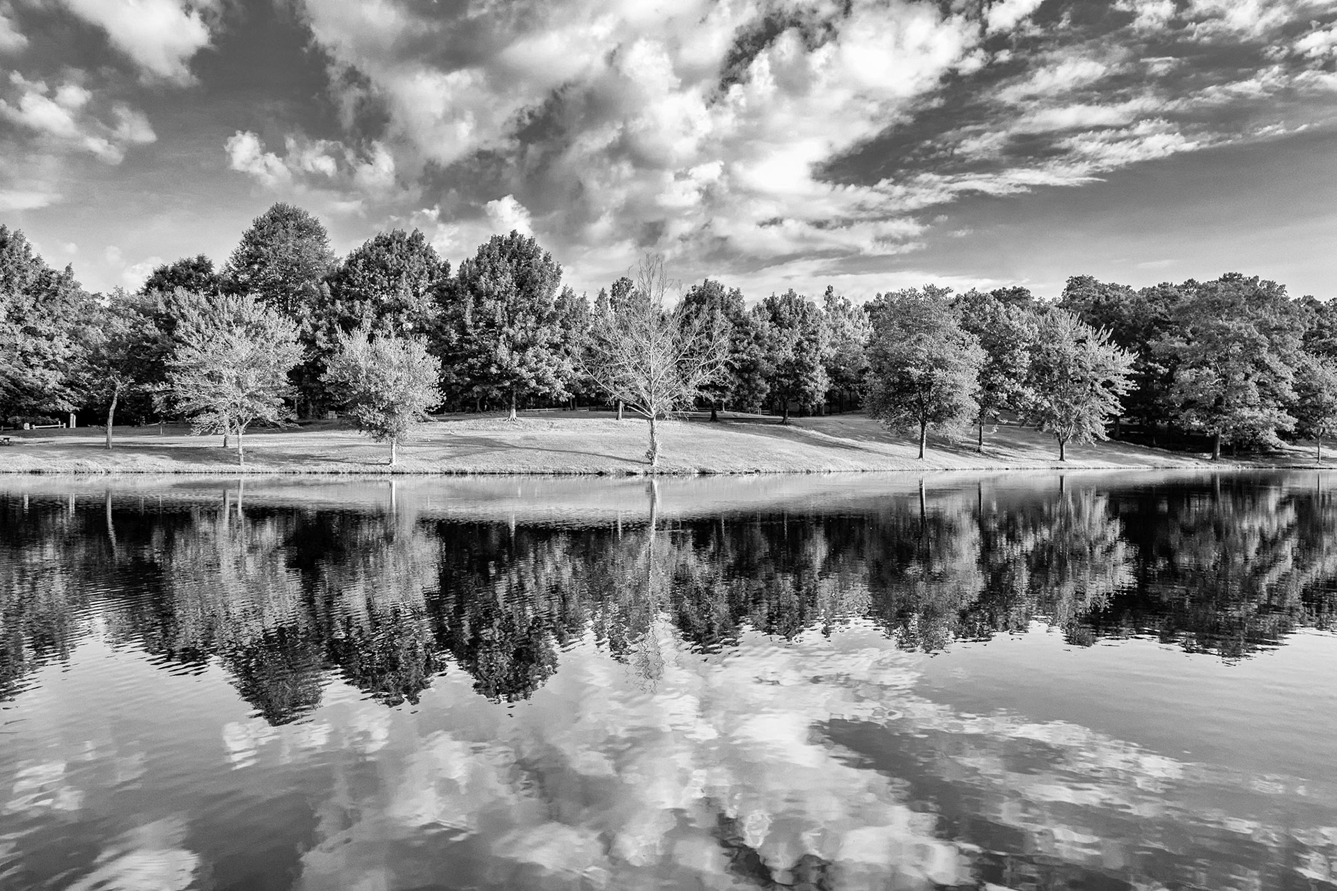Sloppy Floyd Tree Stand BW