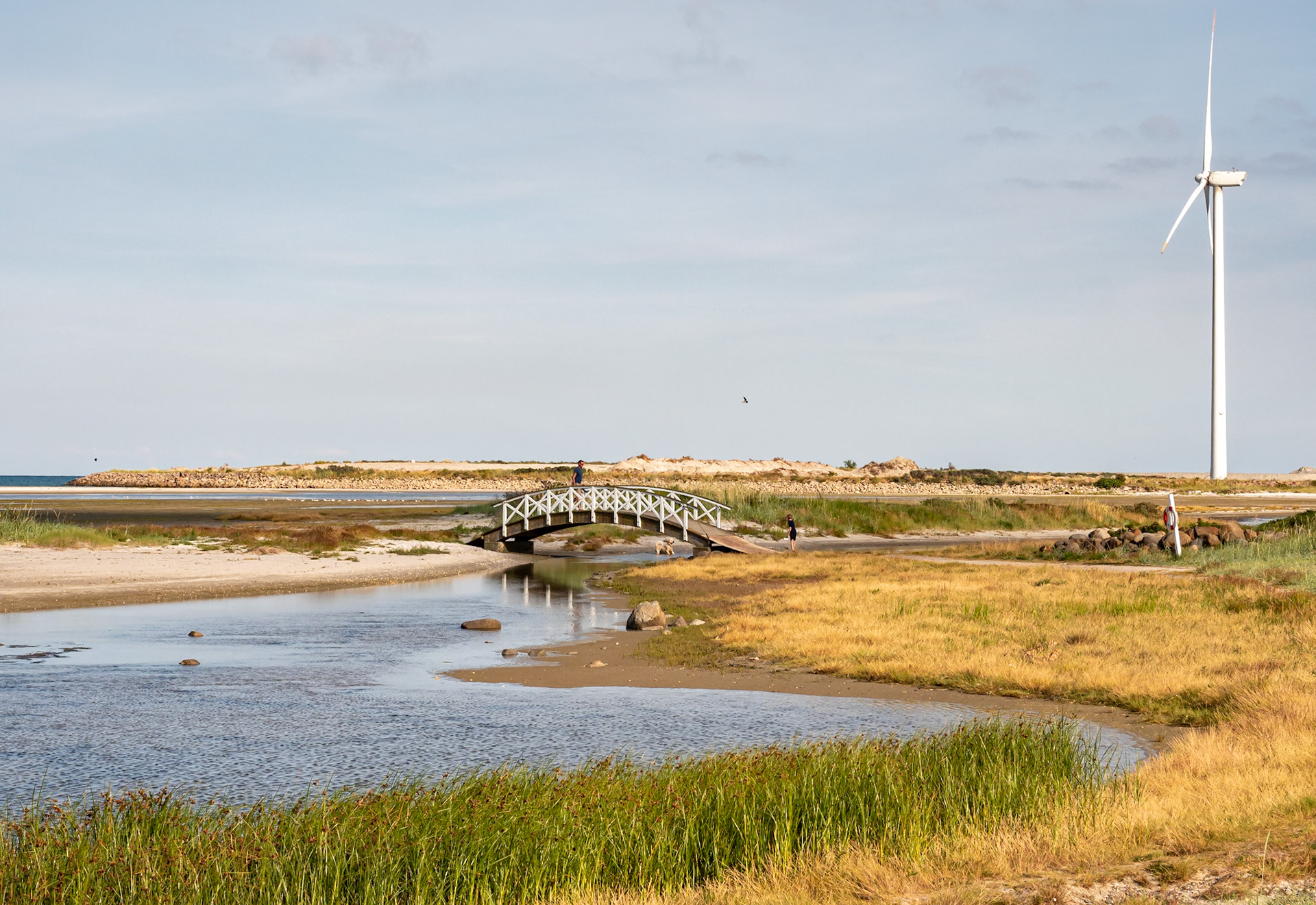 Fine in Fredrikshavn