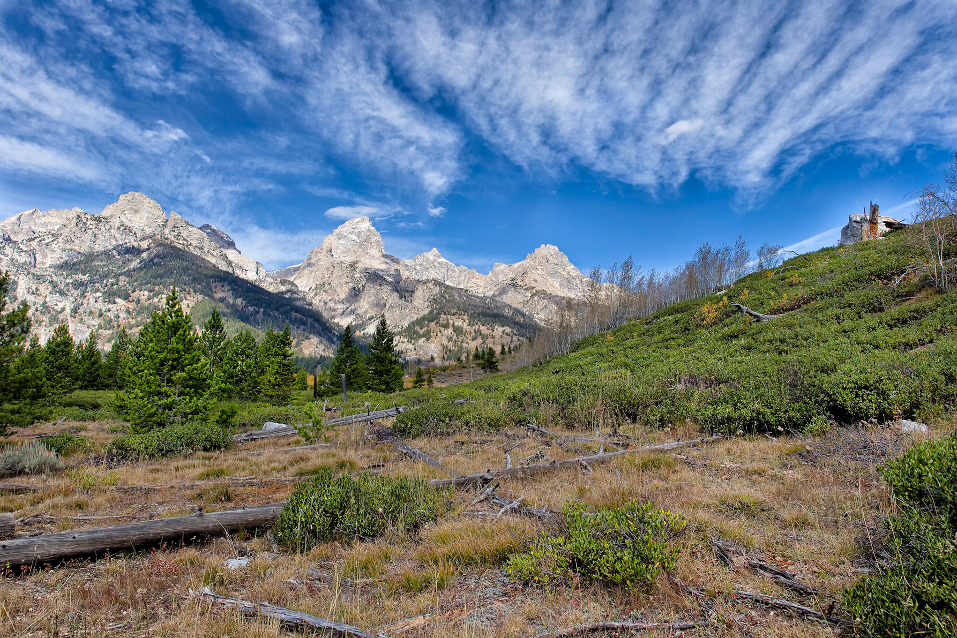 Teton Timber