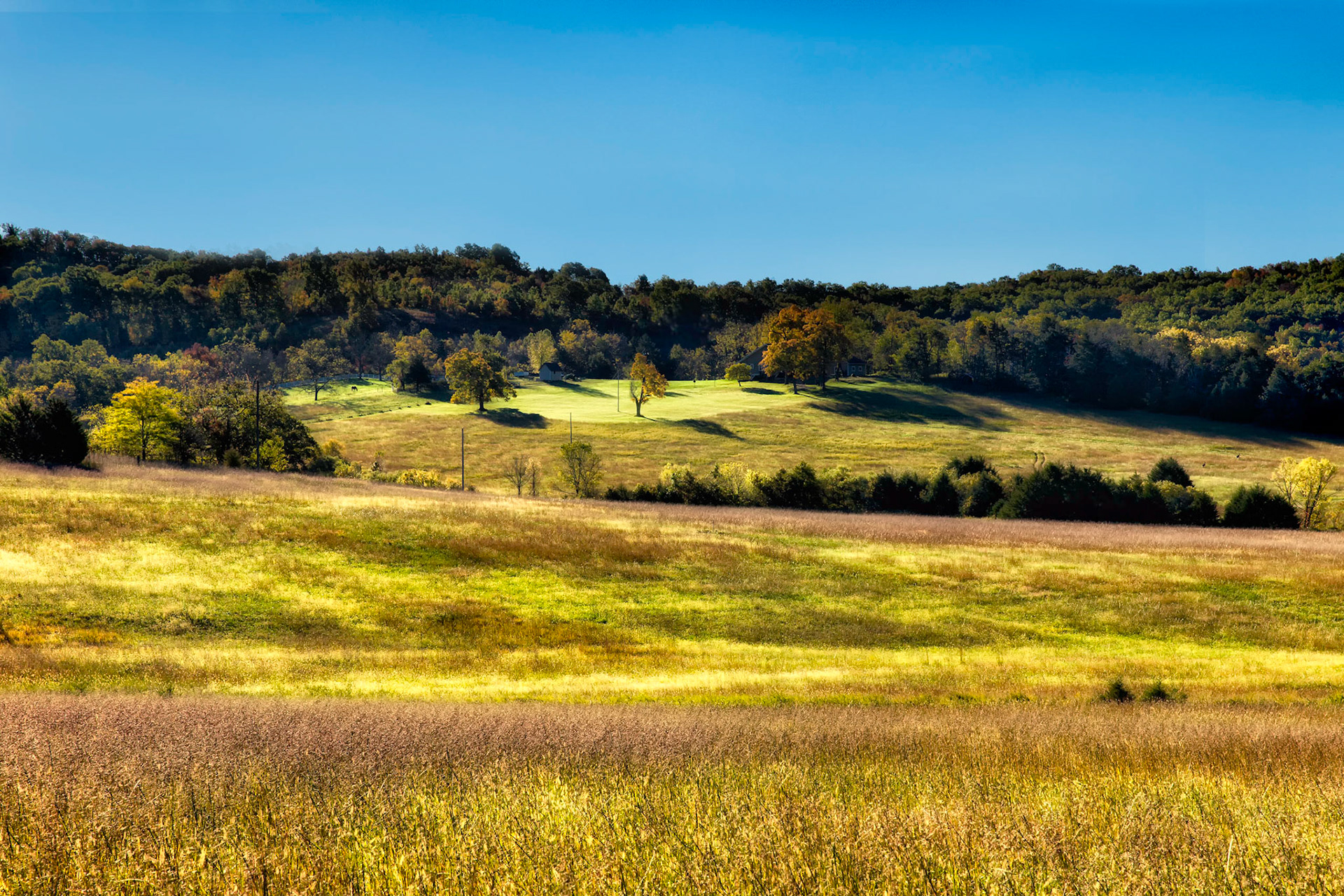 Ha Ha Tonka State Park Field