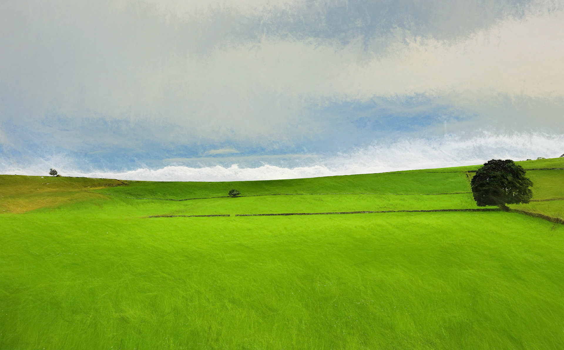 Punctuated Landscape v2