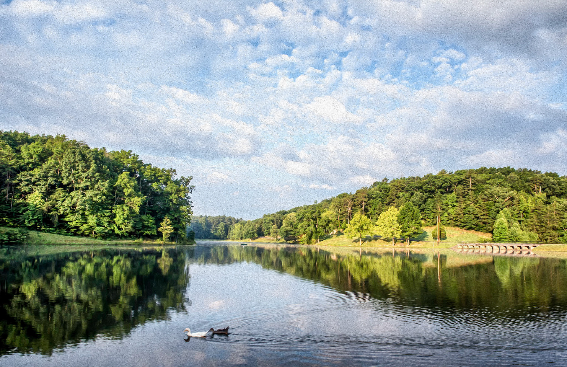 Paddling Along Painted