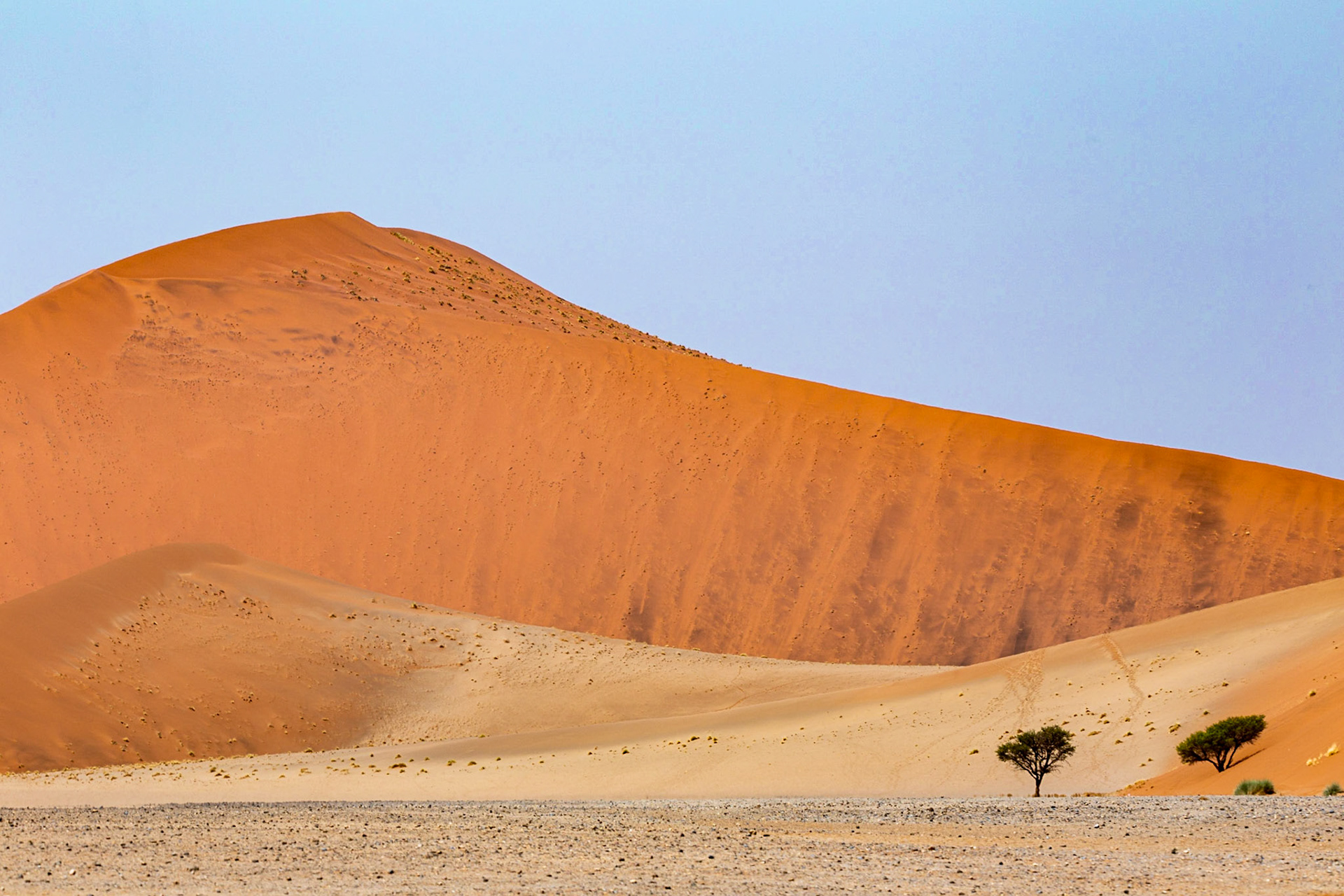 The Space Between Us