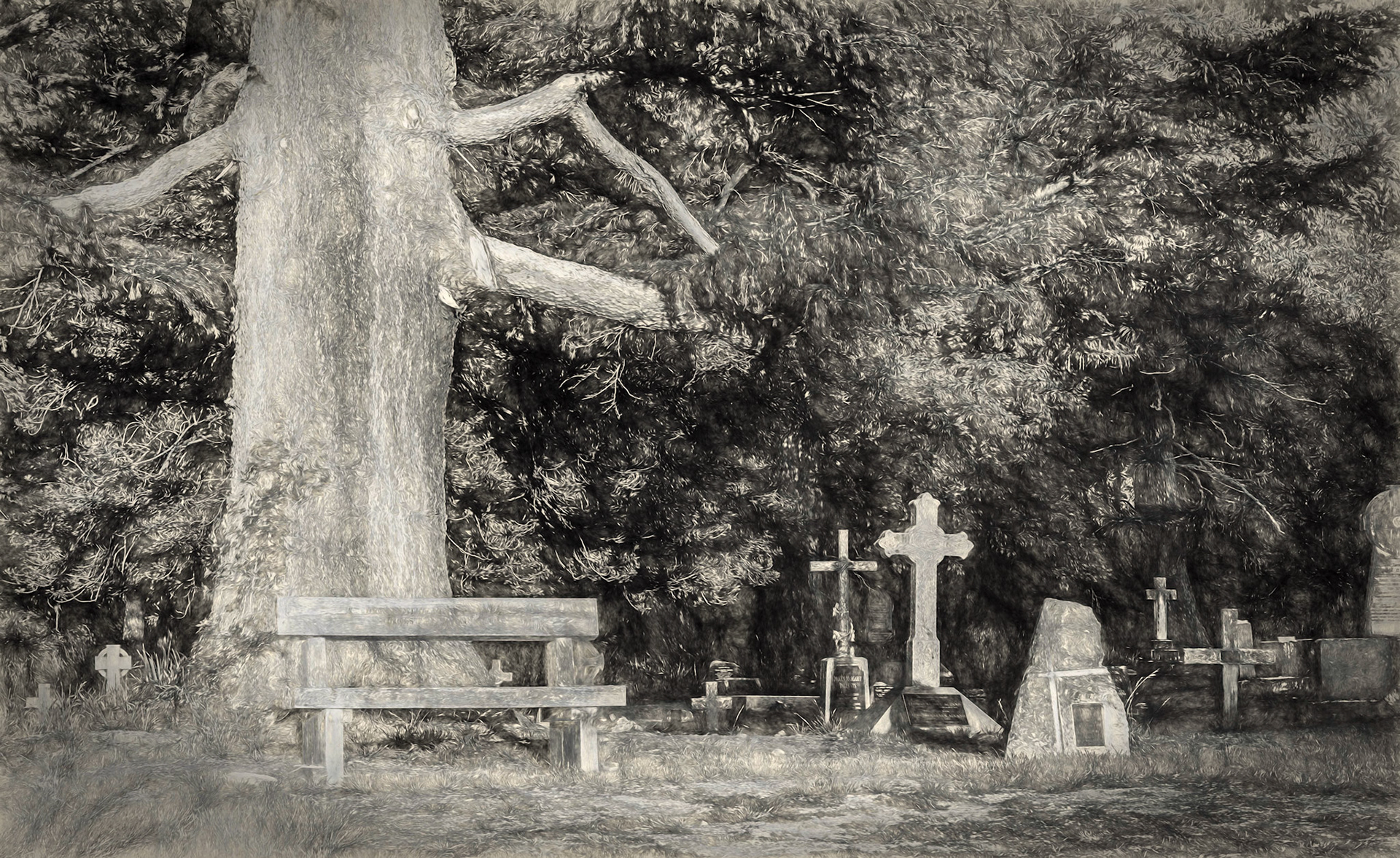 A Spot Under The Tree