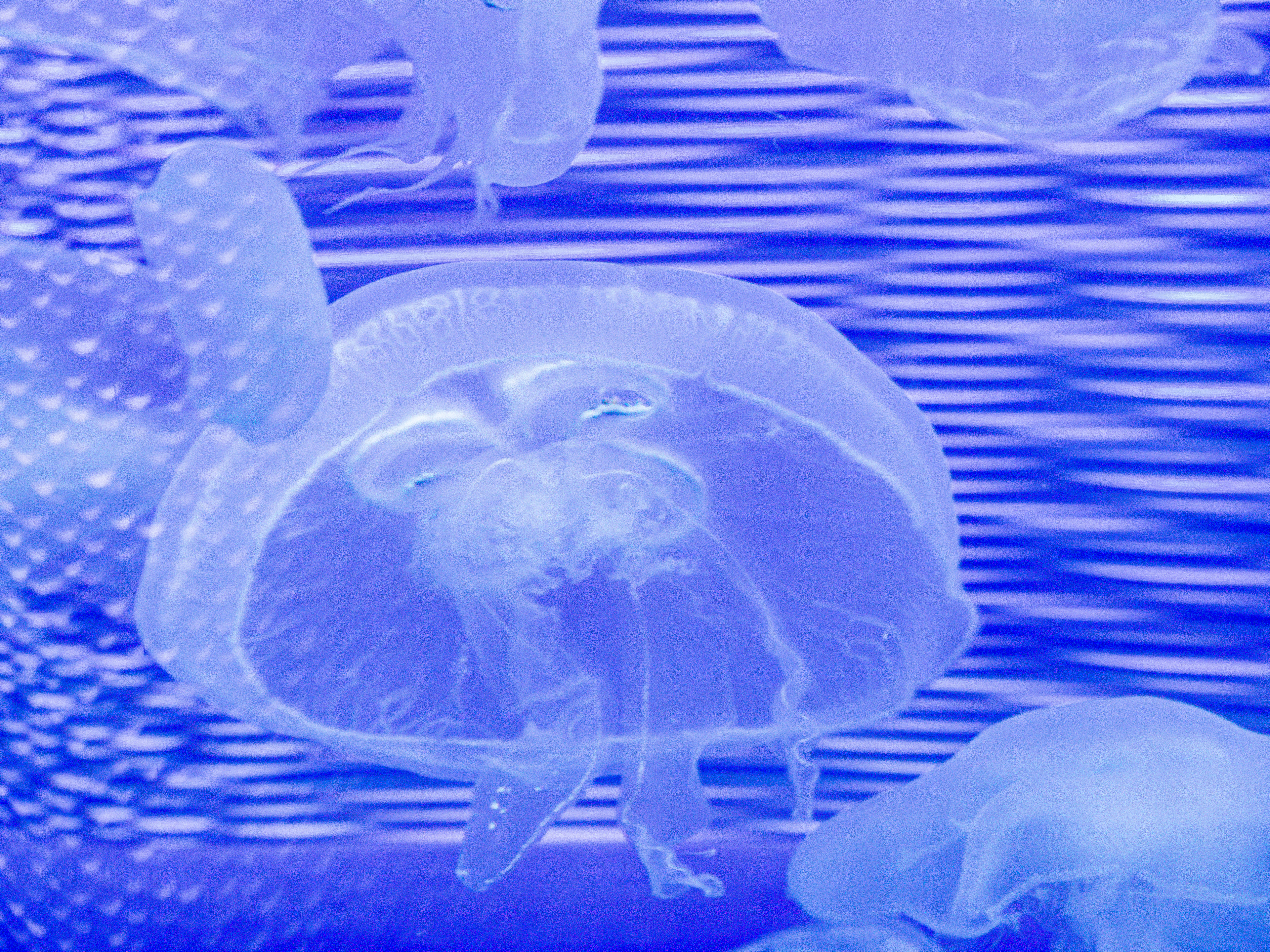 Effprtless Transparency