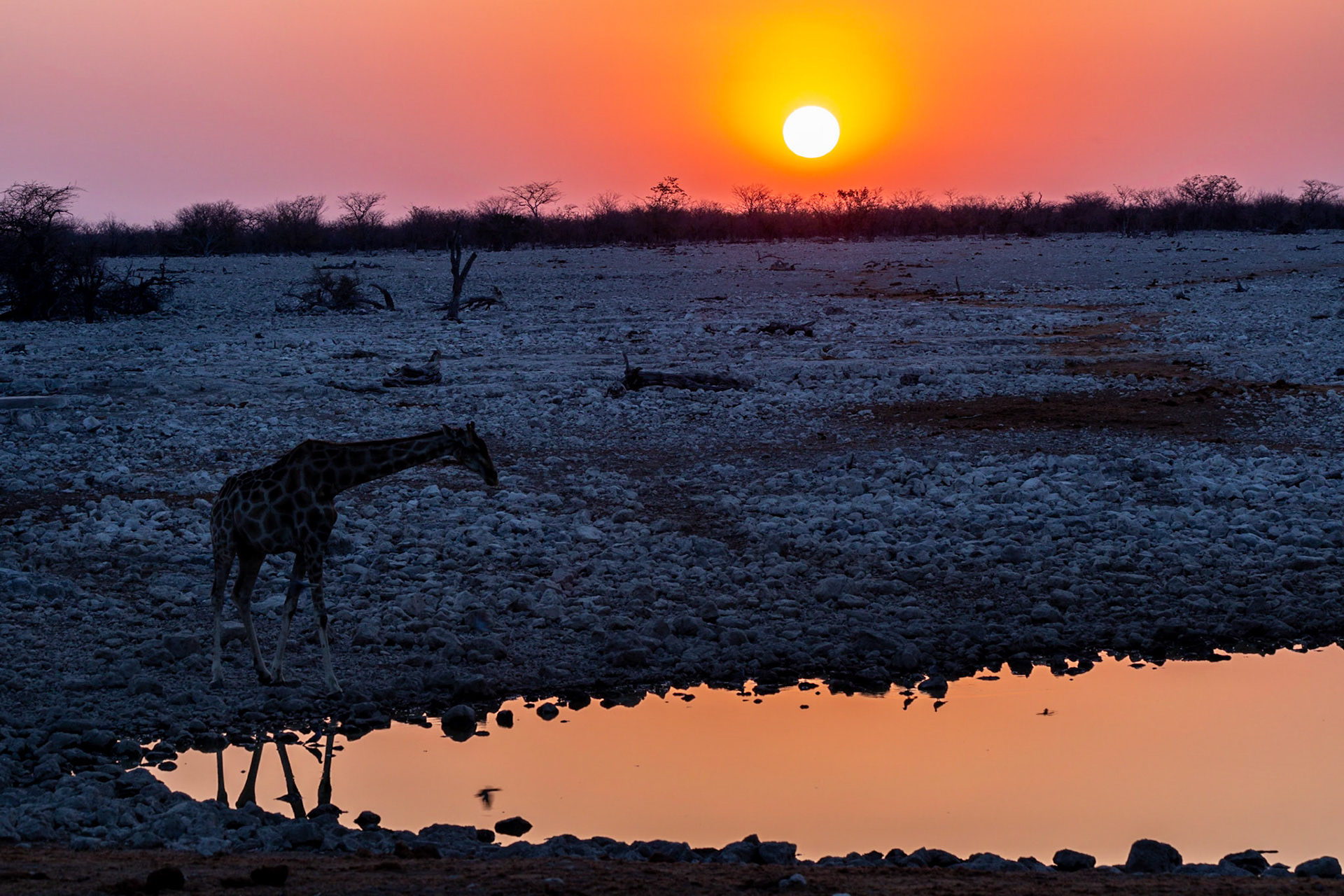 Sunset at Etosha Watering Hole