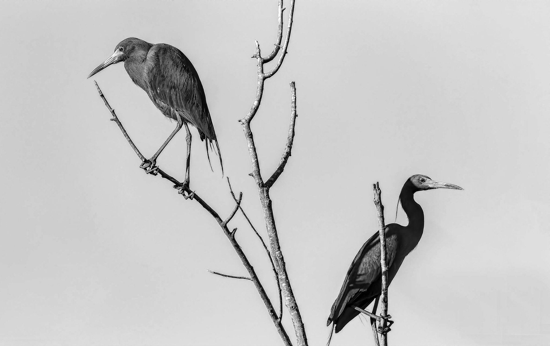 You See It Your Way, I See It Mine