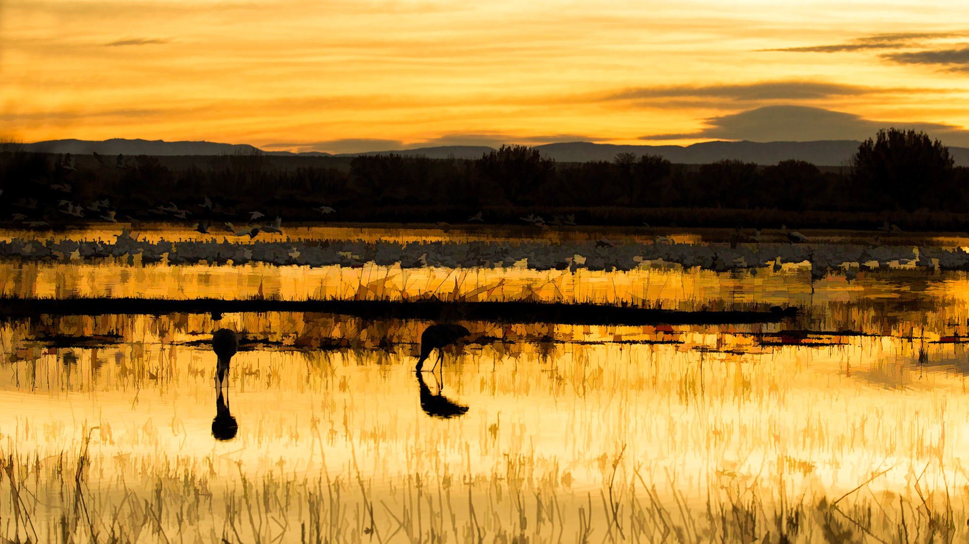 Bosque Gold Impression