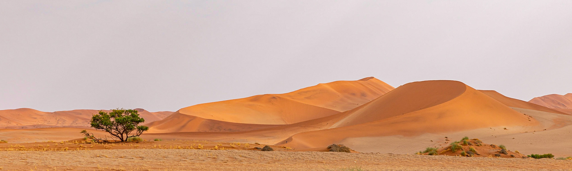 Curves In All the Right Places