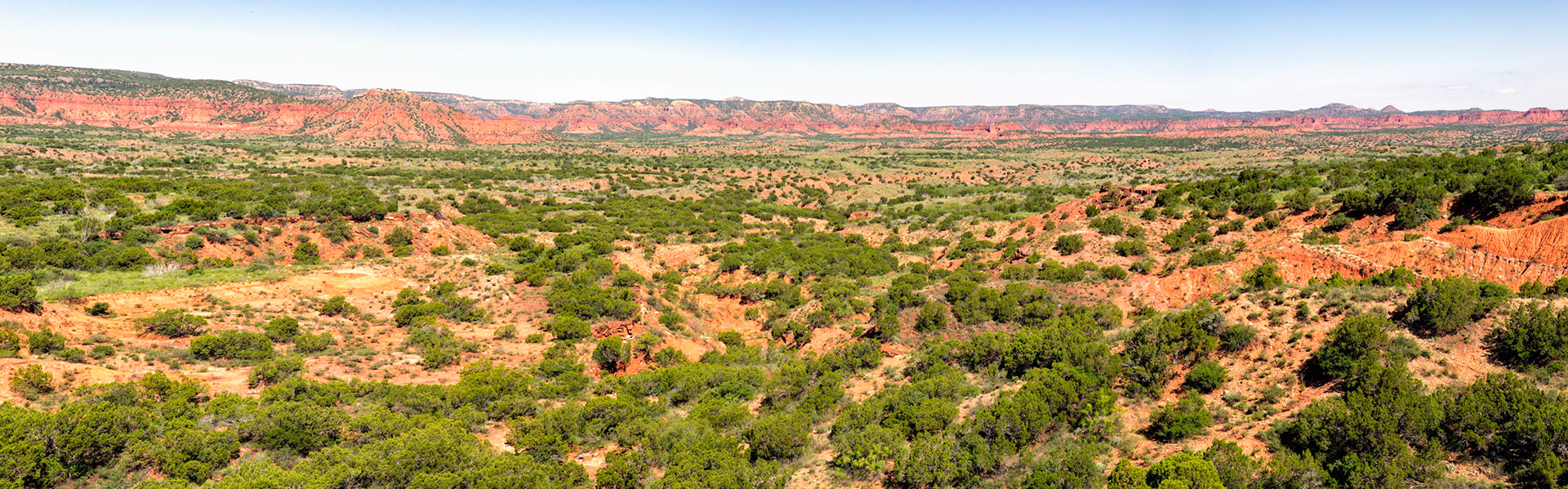 Caprock Canyon Panorama